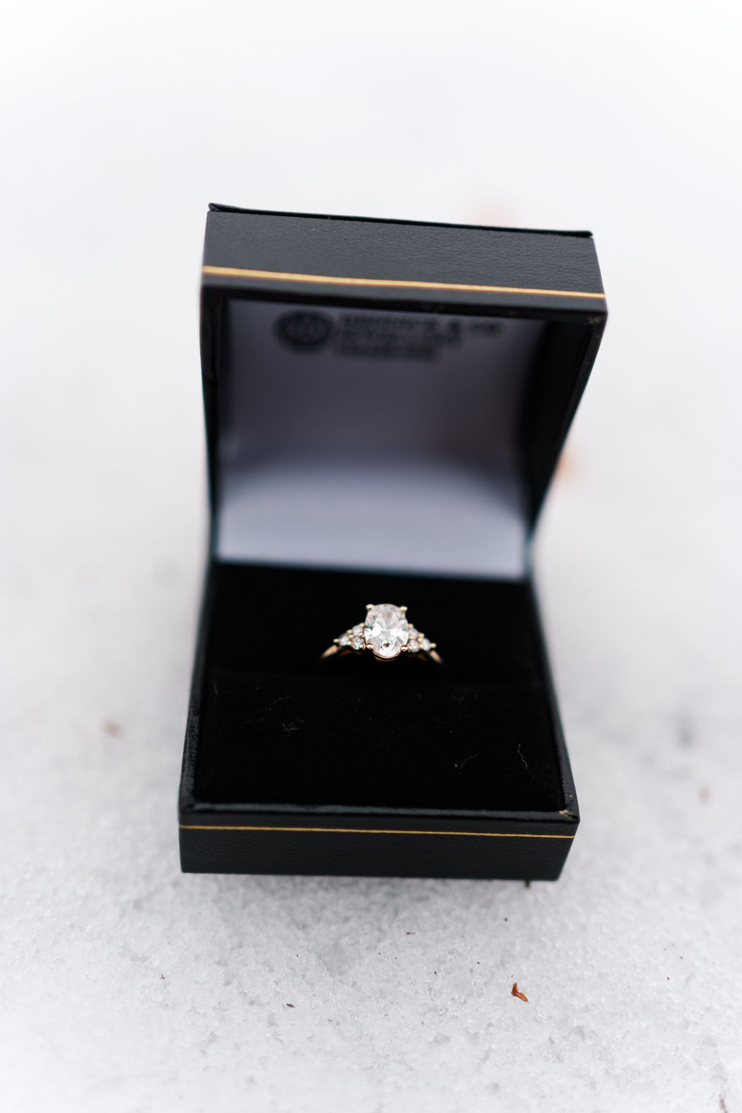 An elegant diamond engagement ring displayed in a black jewelry box against a white background.
Niagara engagement photos.