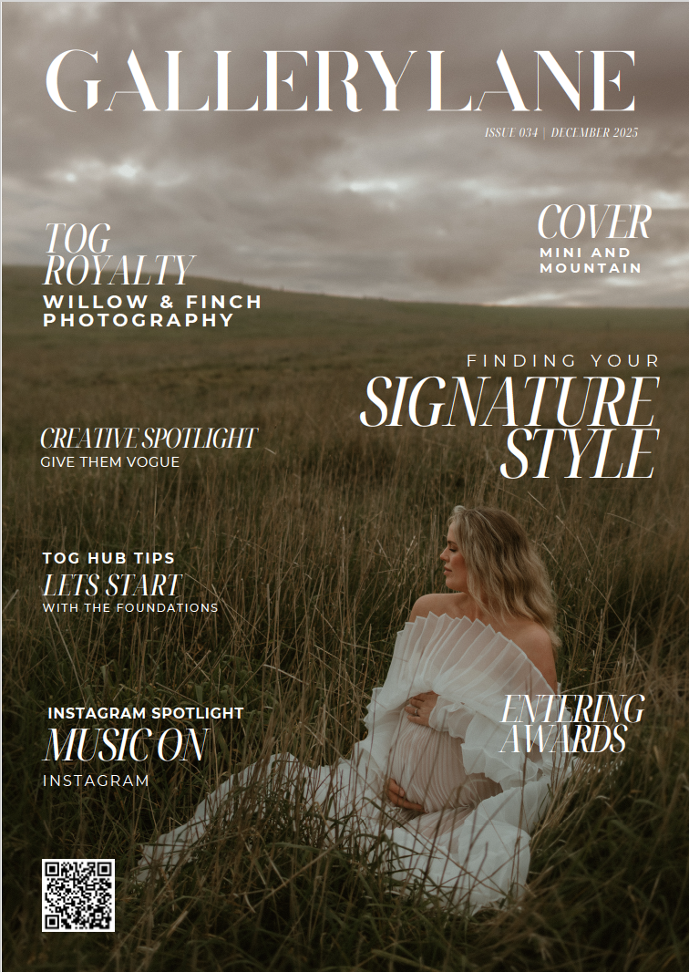 Magazine cover of Gallerylane featuring a dreamy photograph of a white dress in tall grass against moody gray skies.