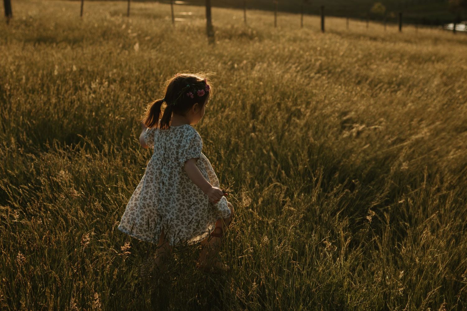 A peaceful meadow scene with tall grass swaying in the warm evening light.