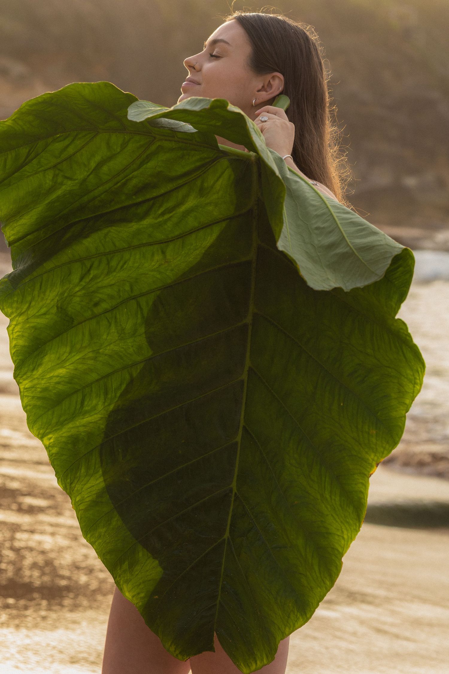 A series of artistic photos showing someone holding large green rhubarb leaves in sunlit outdoor settings.