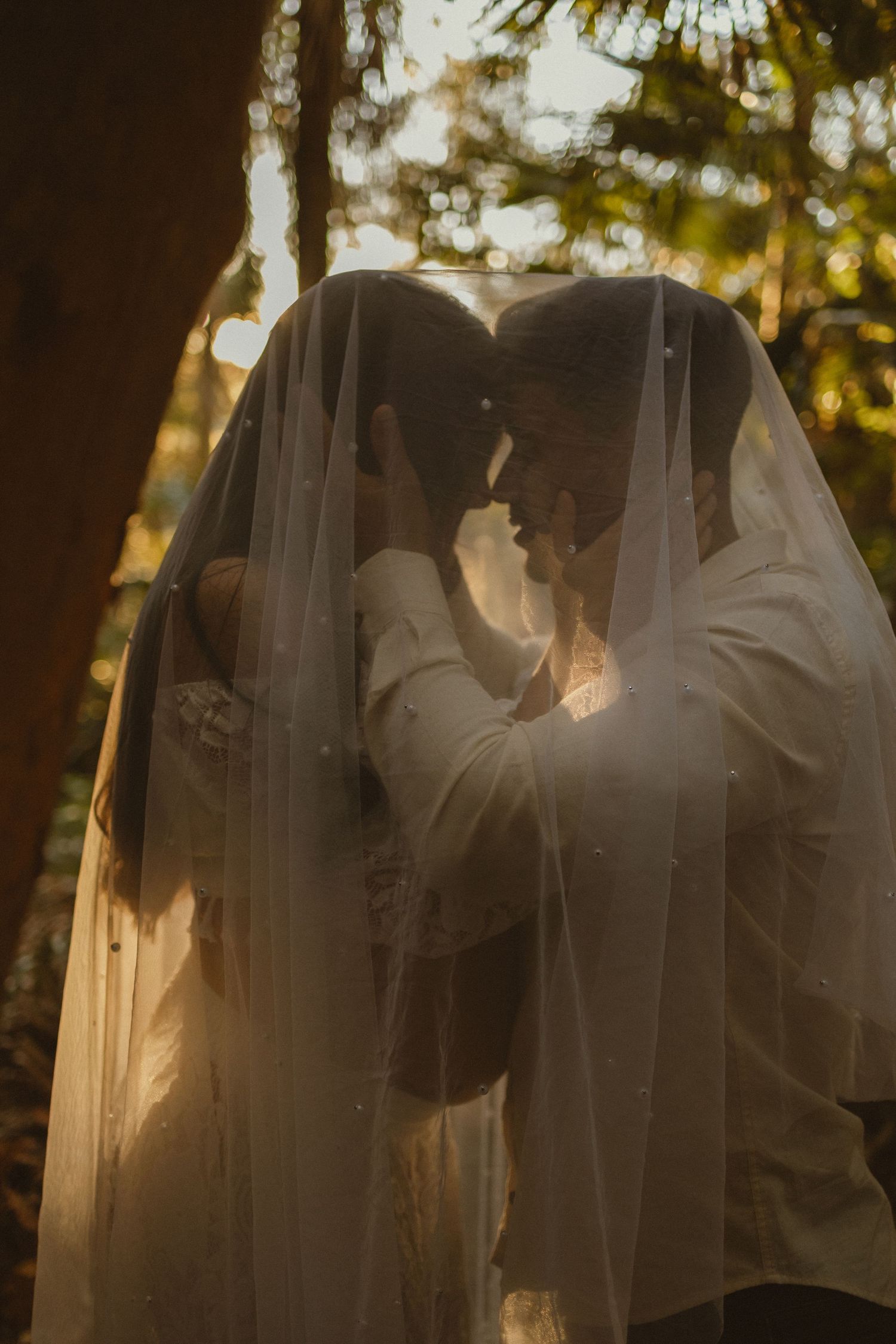 Bride and groom share intimate moment under wedding veil in golden forest light.