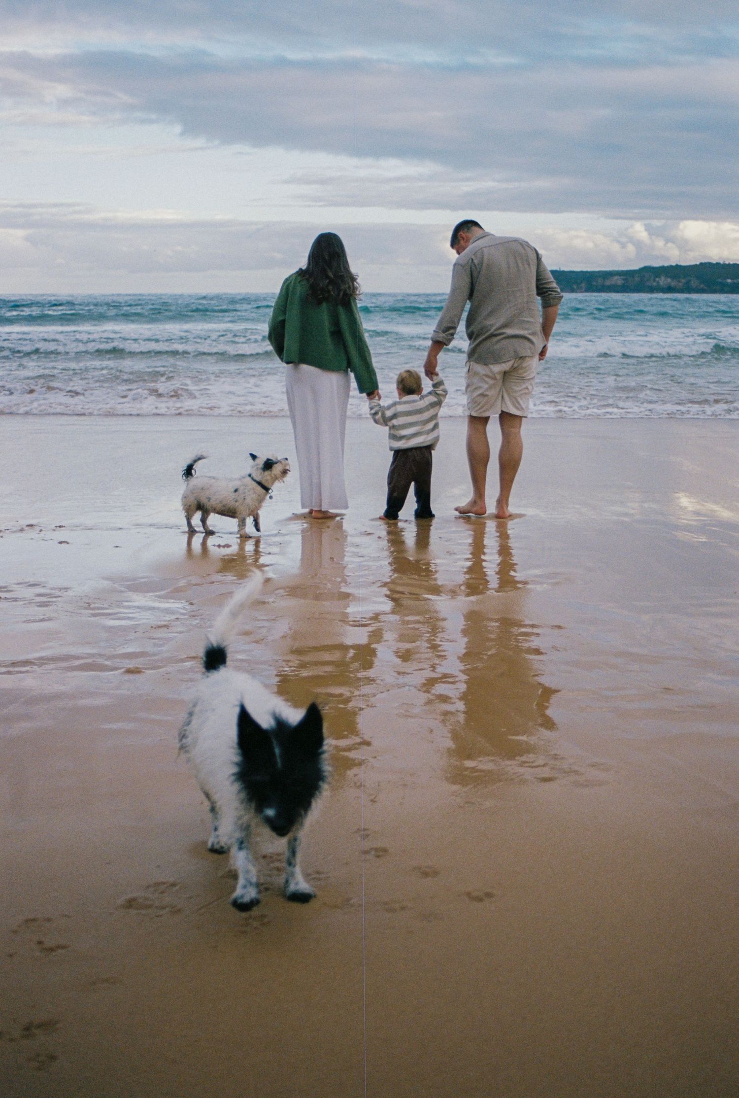 Family with toddler and two dogs walking on a sandy beach at dusk, waves gently lapping the shore.