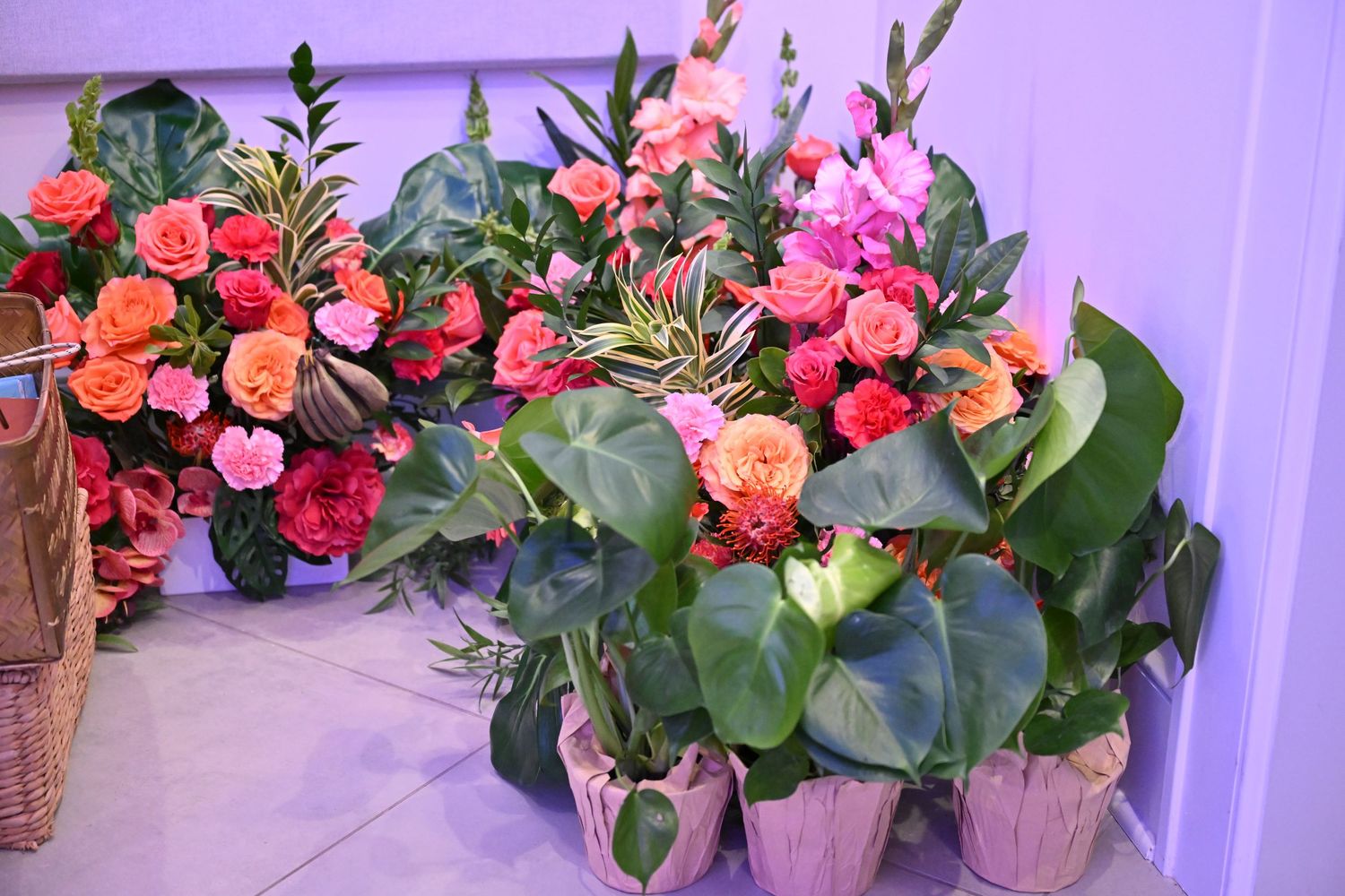 Vibrant pink and orange floral arrangements with lush green leaves displayed in decorative pots against a purple backdrop.