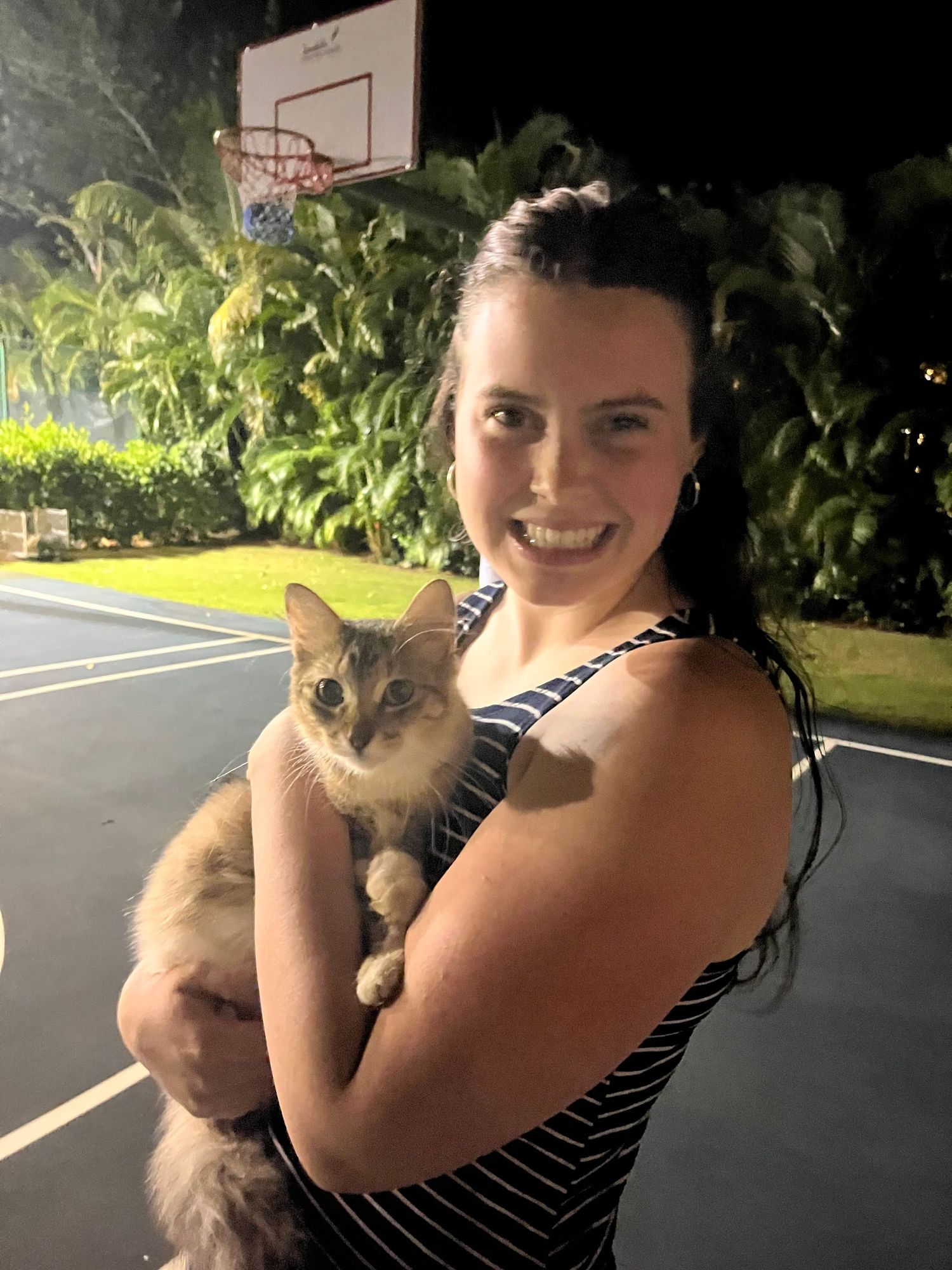 A Siamese cat being held outdoors at night near a basketball court with tropical plants in the background.