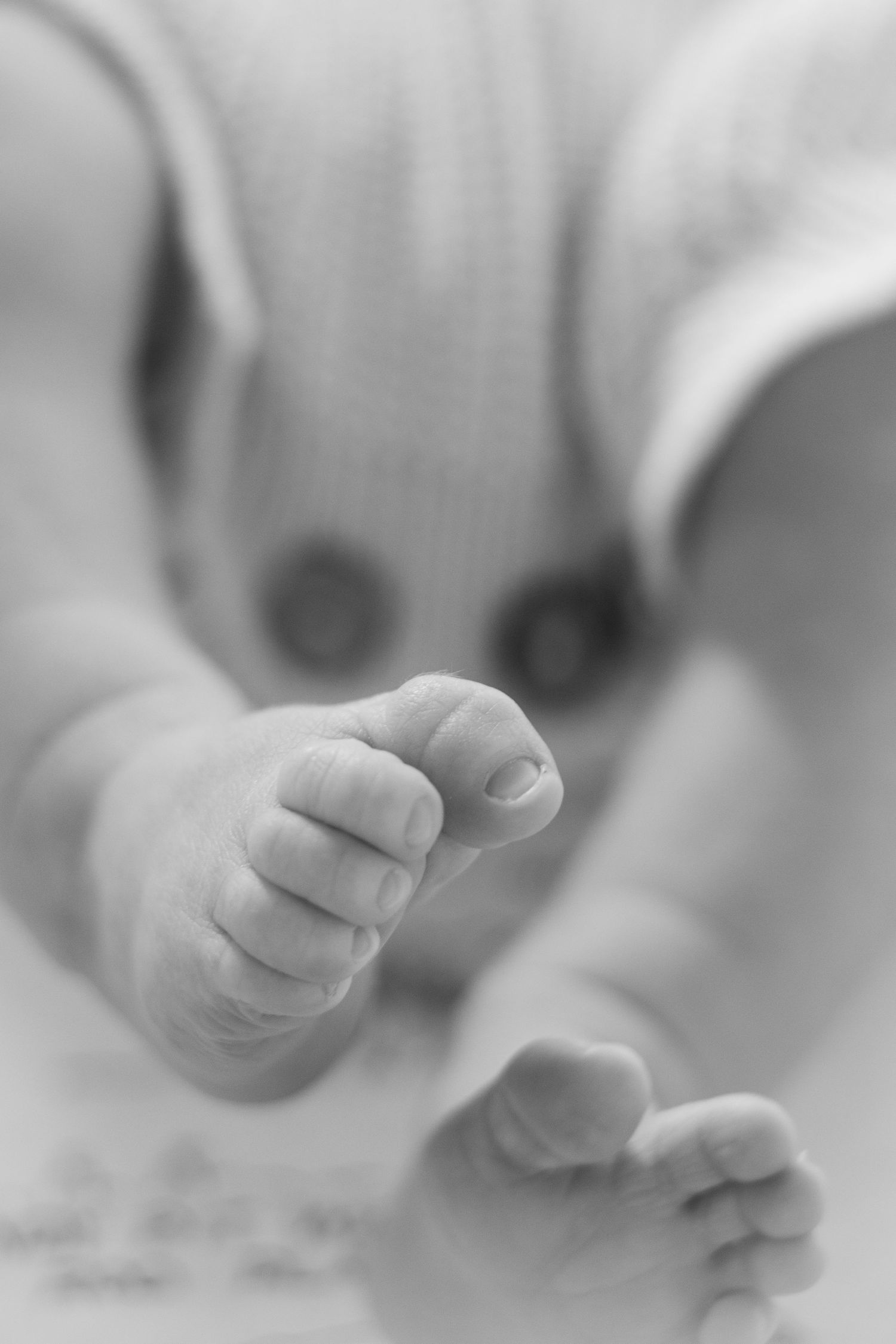 Black and white image of newborn's toes
