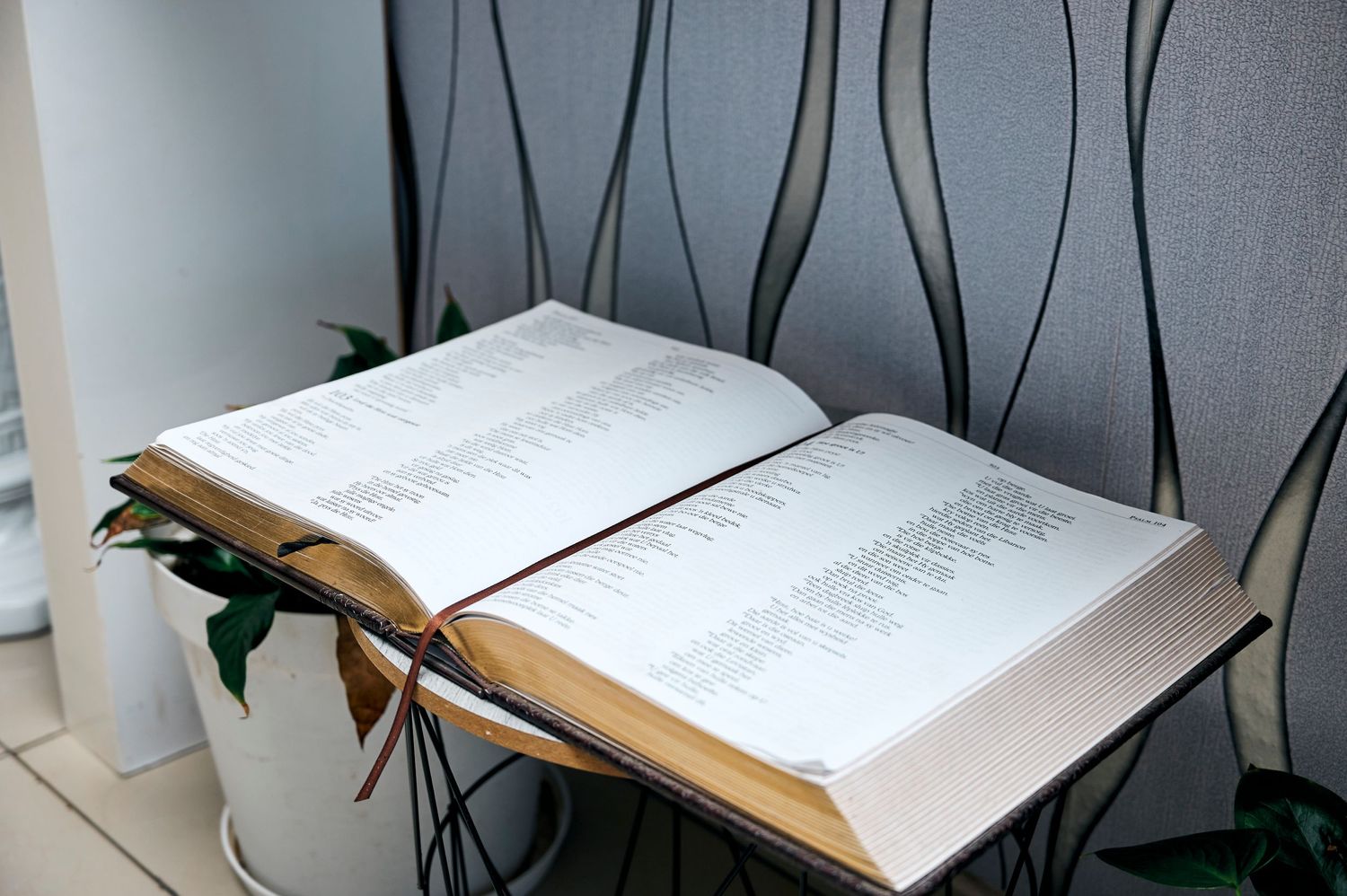 a photo of an open bible