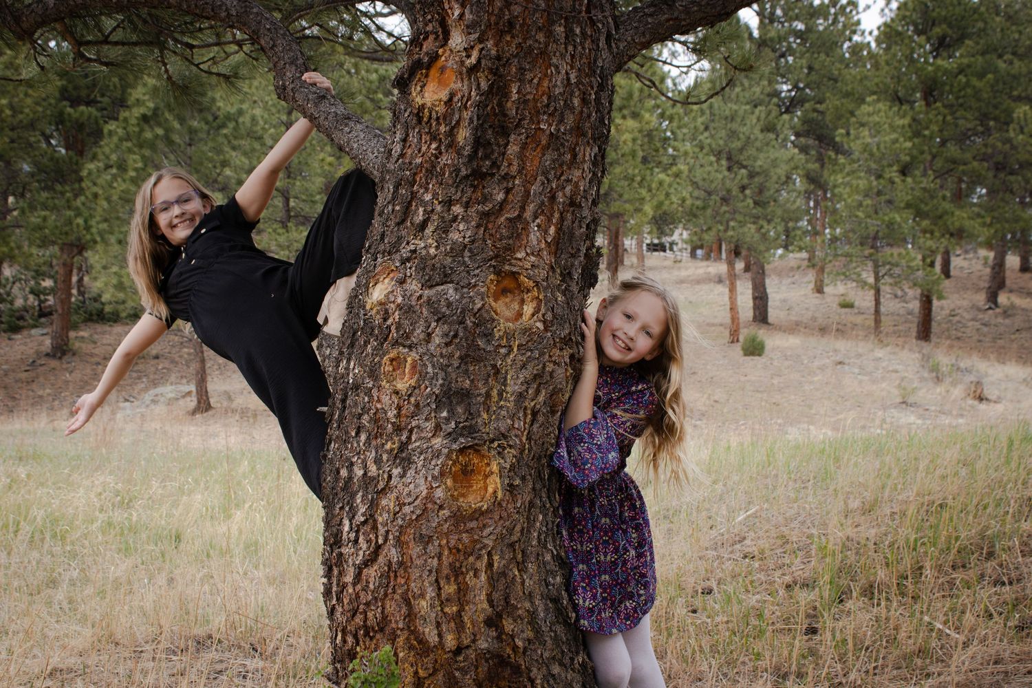 Two young girls playfully pose around a large pine tree trunk in an open forest meadow.