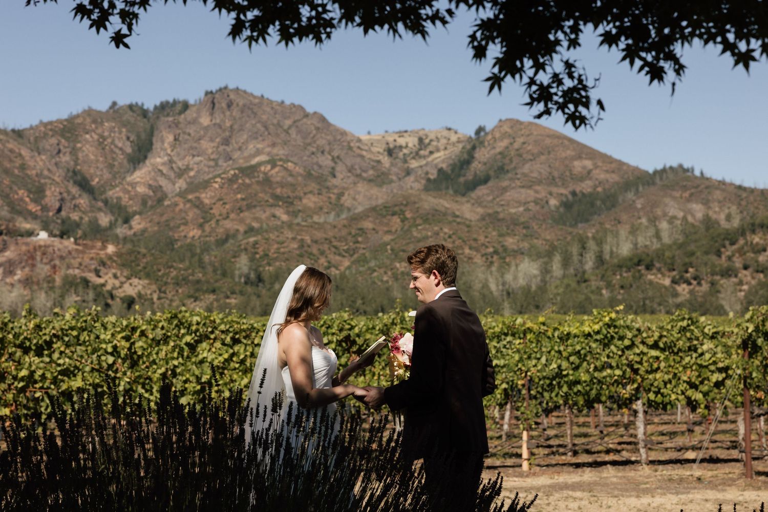 Couple exchanging vows at outdoor vineyard wedding ceremony with mountain backdrop on sunny day.
