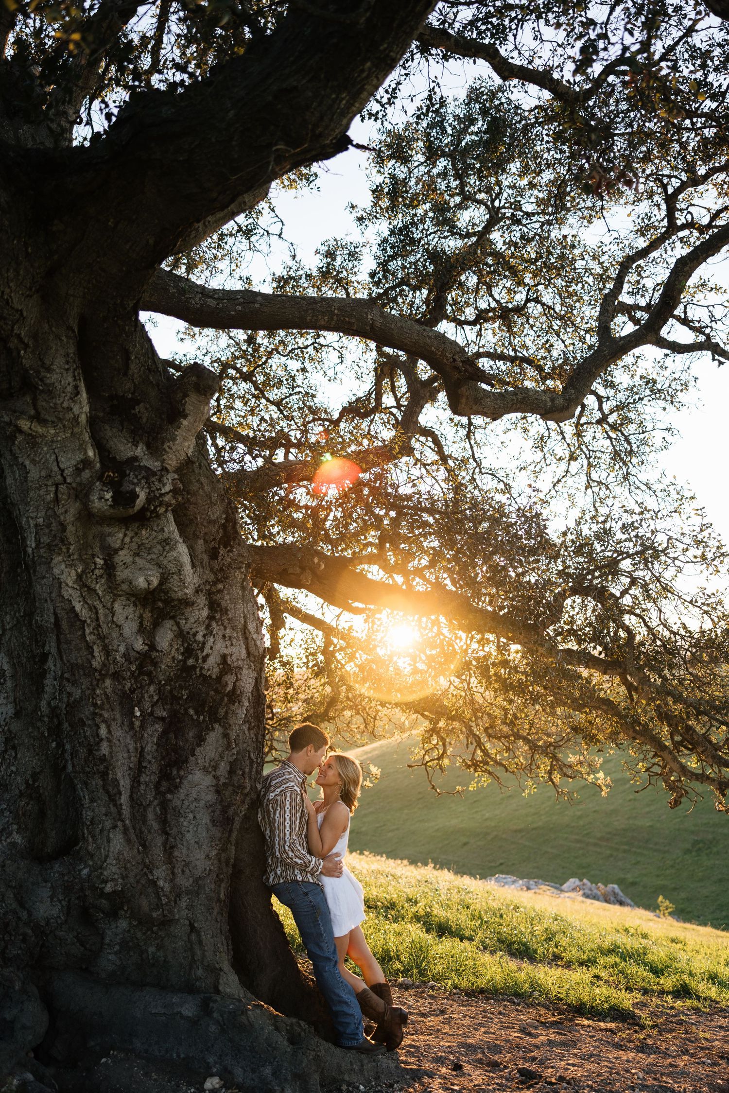 Couple sharing a romantic moment leaning against a large oak tree at sunset.