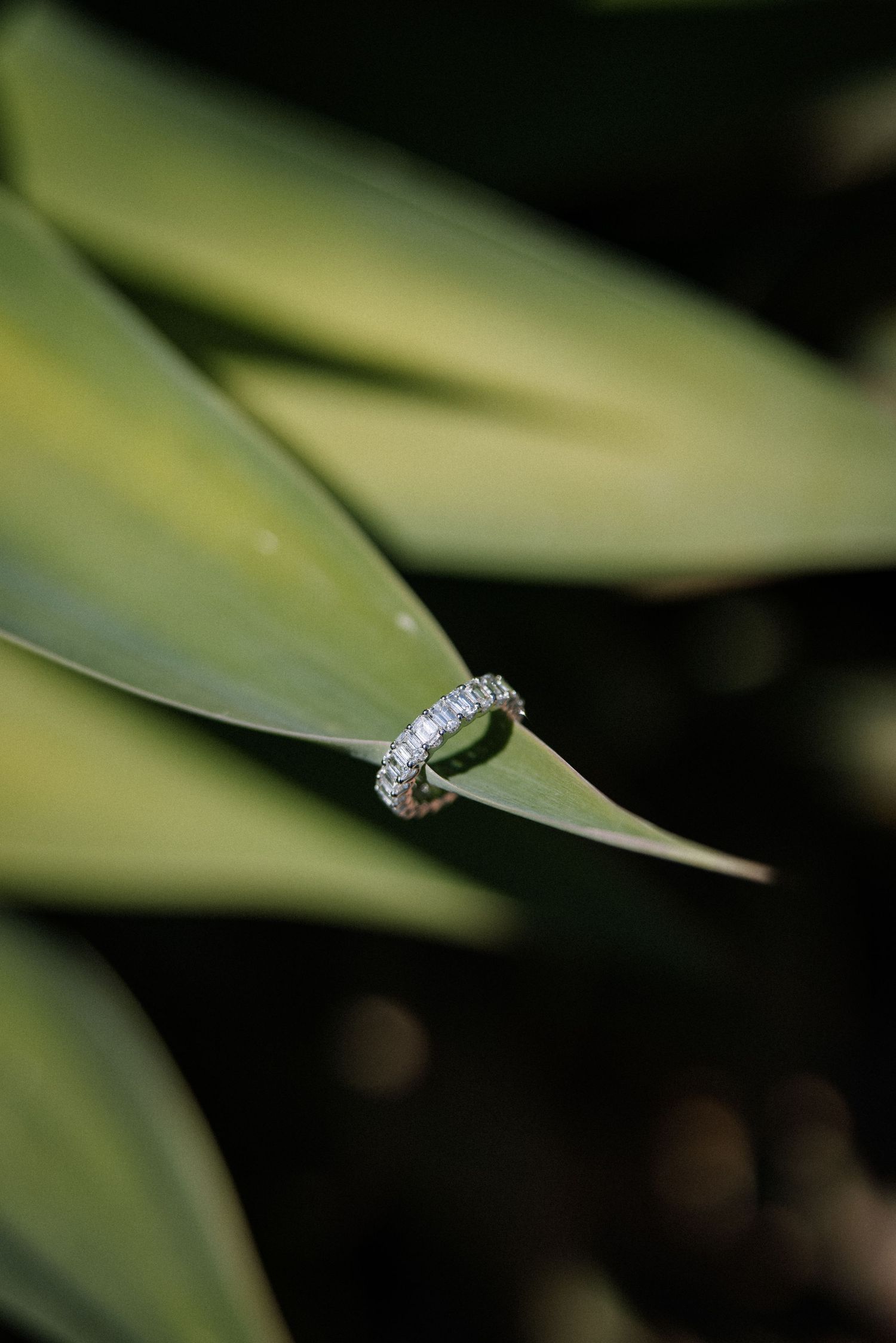Diamond eternity wedding band resting elegantly on a green tropical plant leaf.