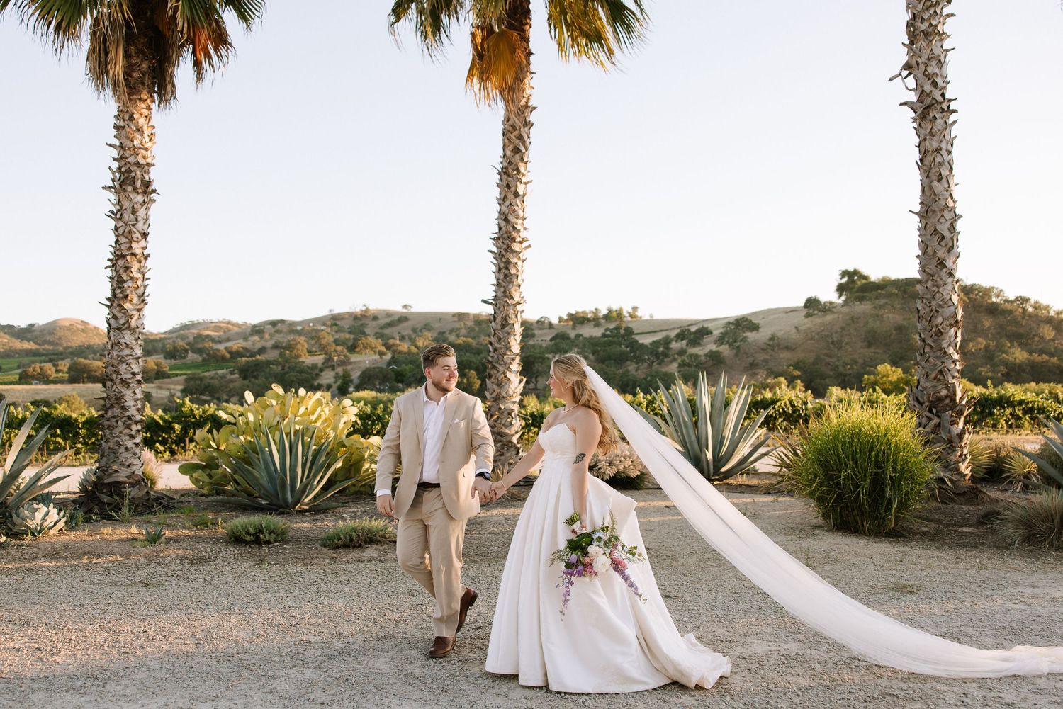 Bride and groom walk among tall palm trees at golden hour in a stunning desert landscape vineyard.