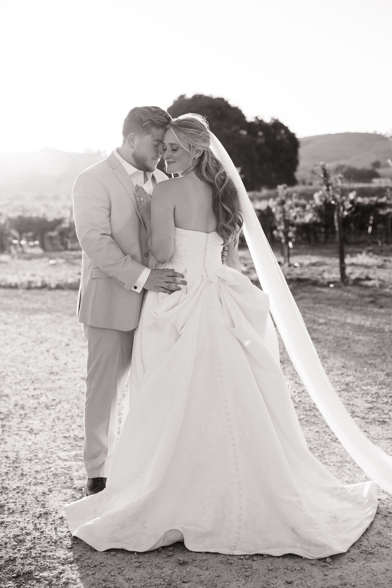 Black and white photo of a bride and groom embracing at sunset in a vineyard.