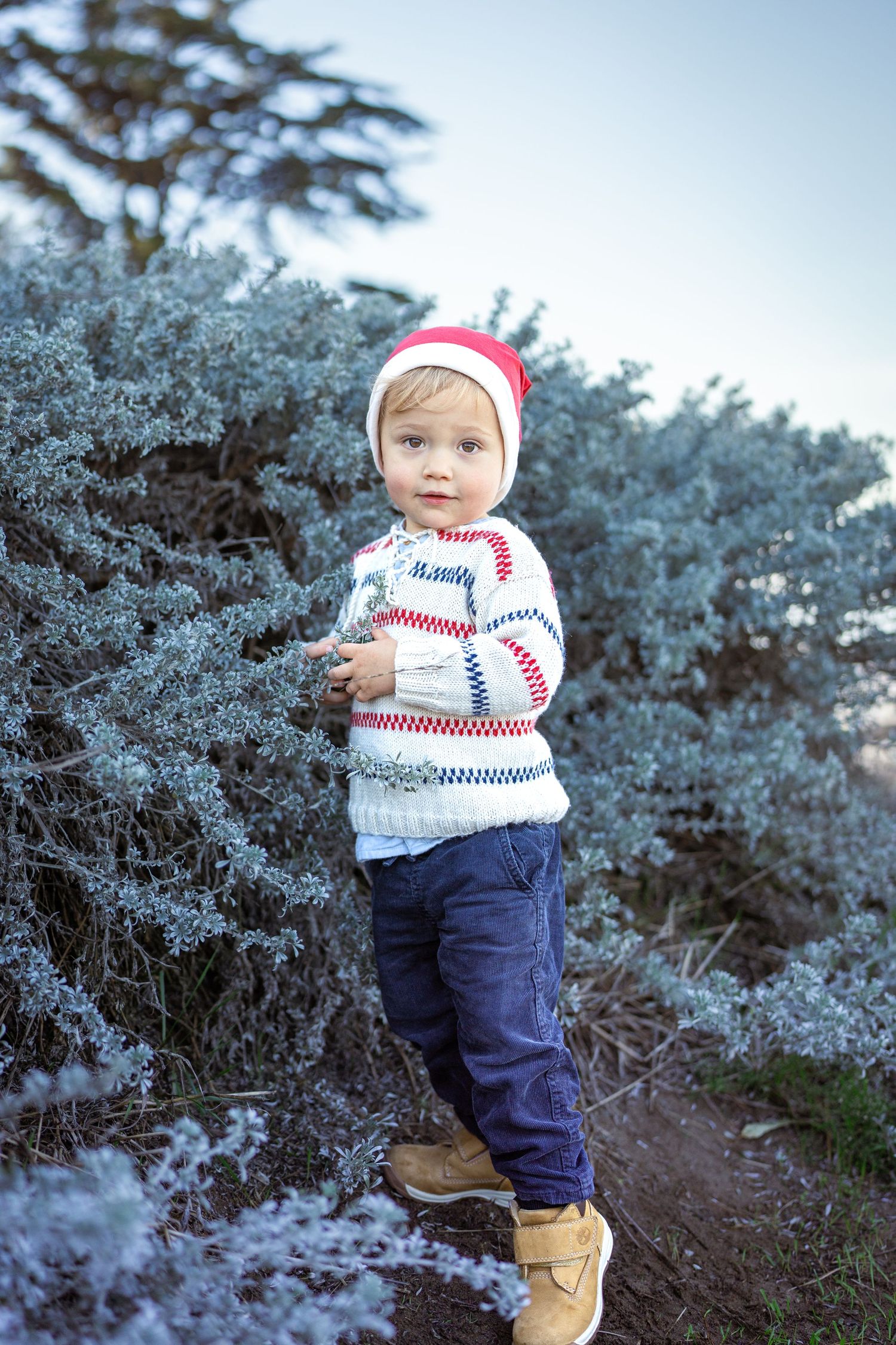 Child in winter sweater and beanie poses against frosty blue foliage.