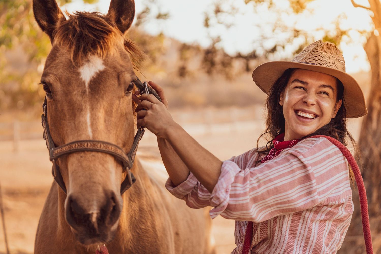 A happy person in a cowboy hat pets a brown horse while wearing a red and white striped shirt in warm golden light.