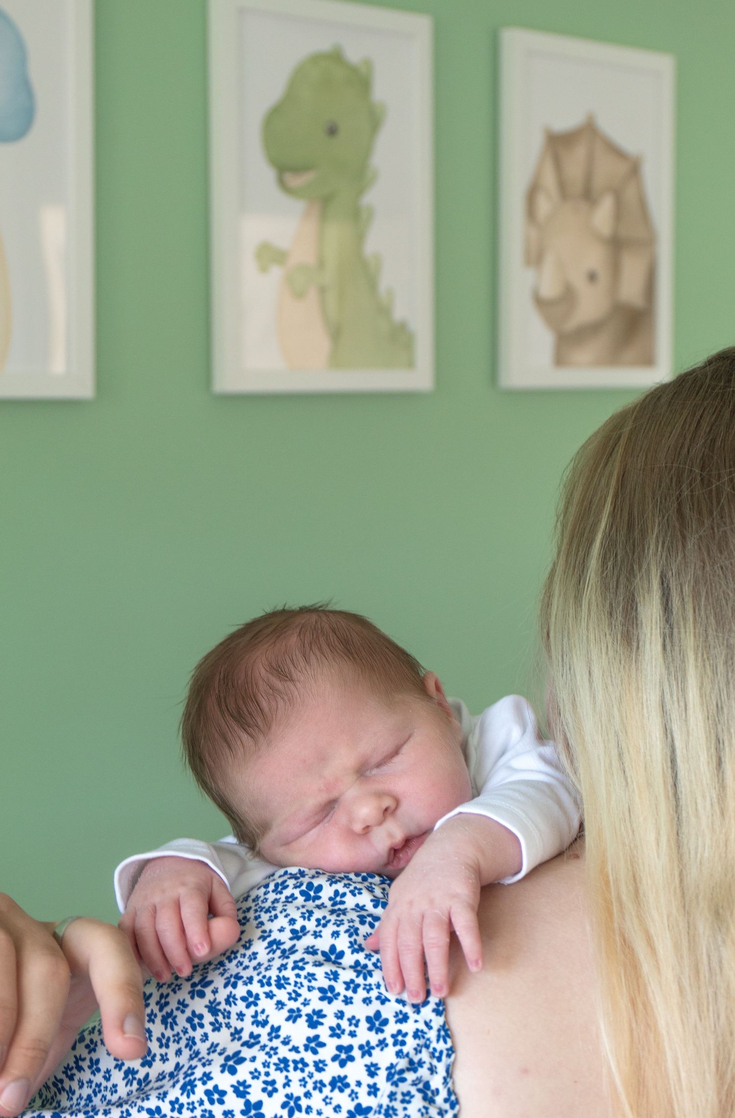 In the home newborn session