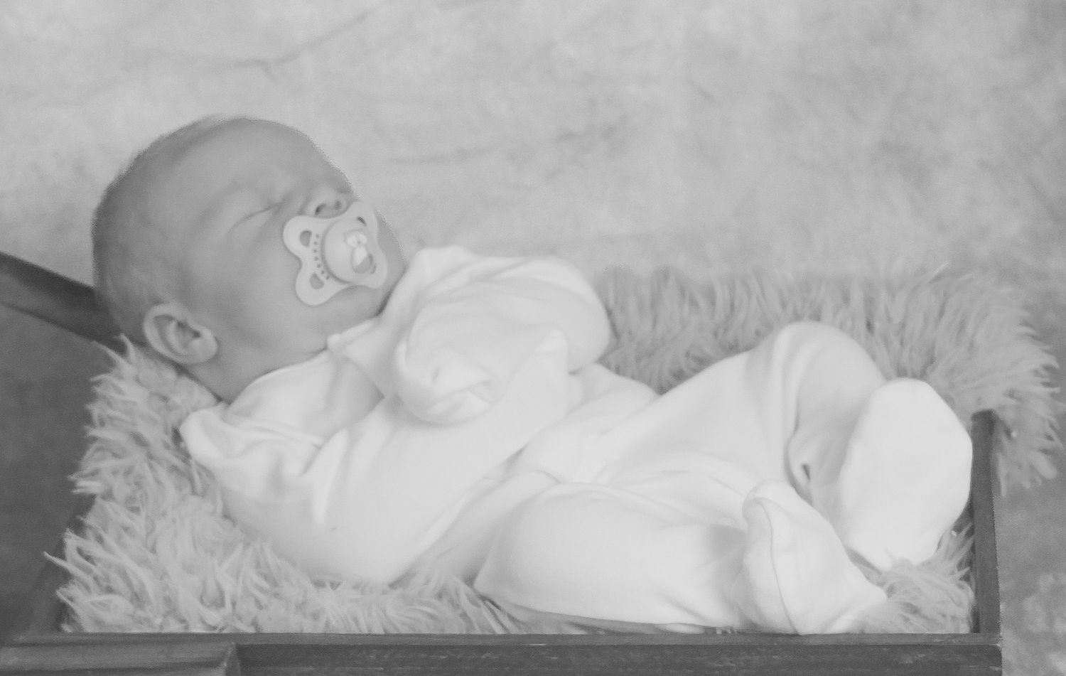 Cuteness overload curled up bundle of joy