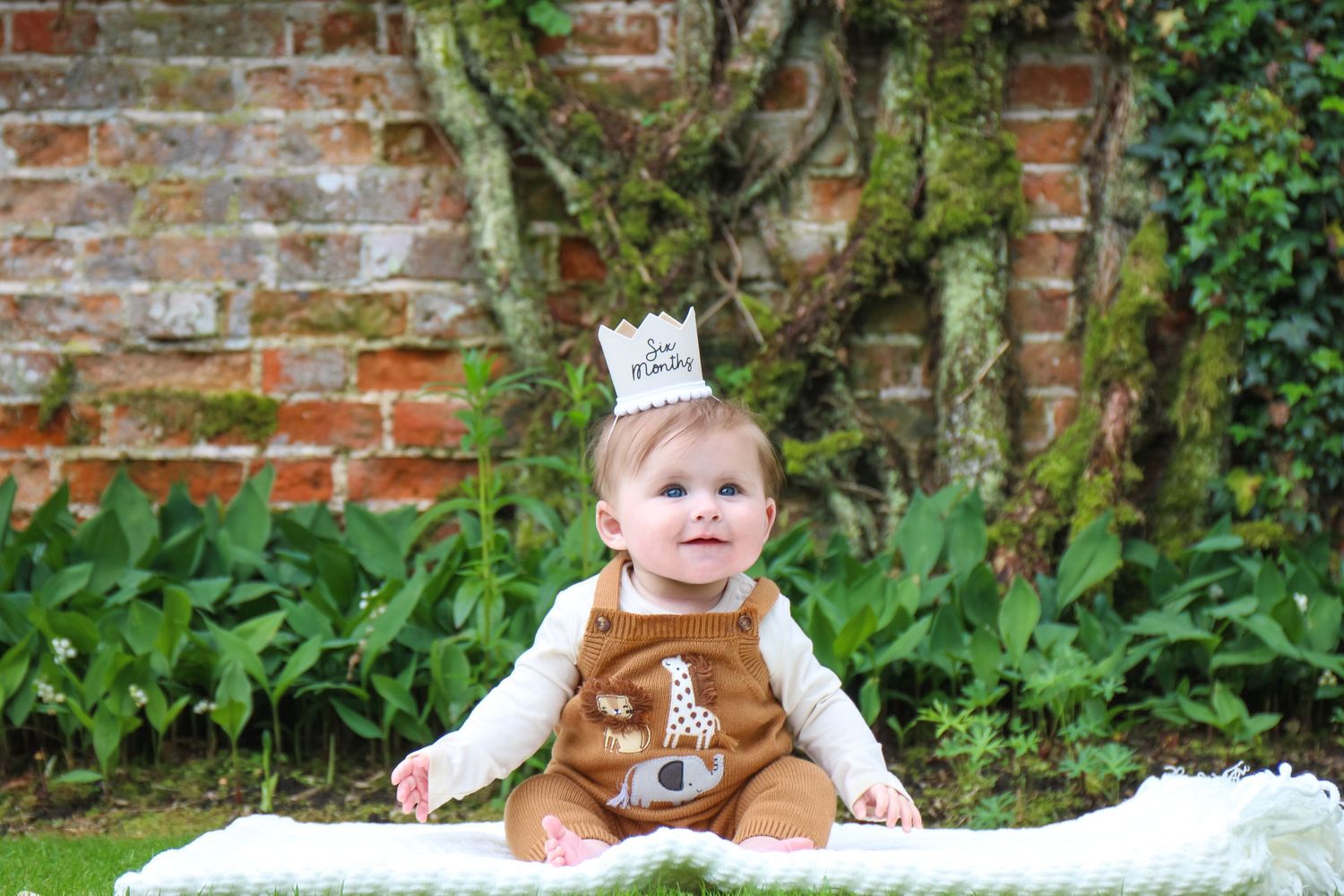 Six months of pure love and happiness. Outdoor sessions your little ones can venture out as far as they want.