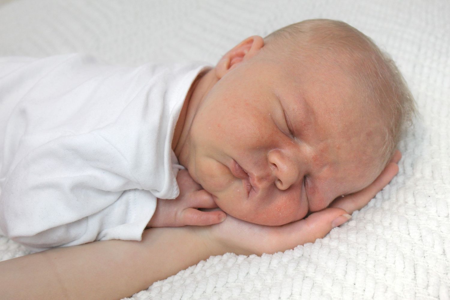 Just snoozing in my brothers hand