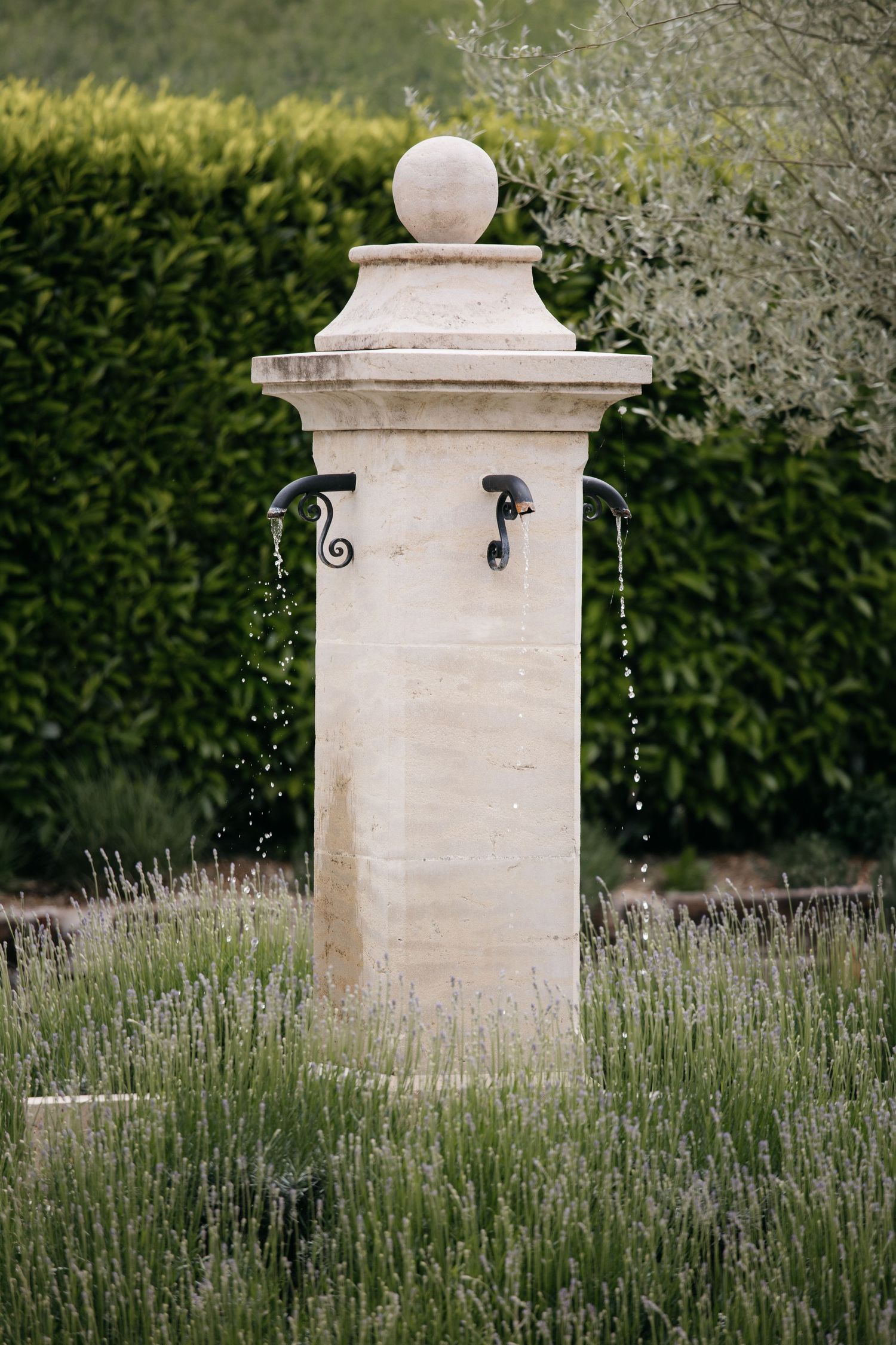 Fontaine de jardin en pierre aux becs ornementaux en fer, entourée de lavande, avec haies taillées et olivier en arrière-plan.