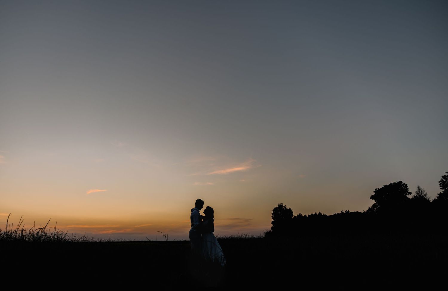 Une rangée de pins en silhouette contre un ciel crépusculaire qui s'assombrit avec de subtiles teintes orange à l'horizon.