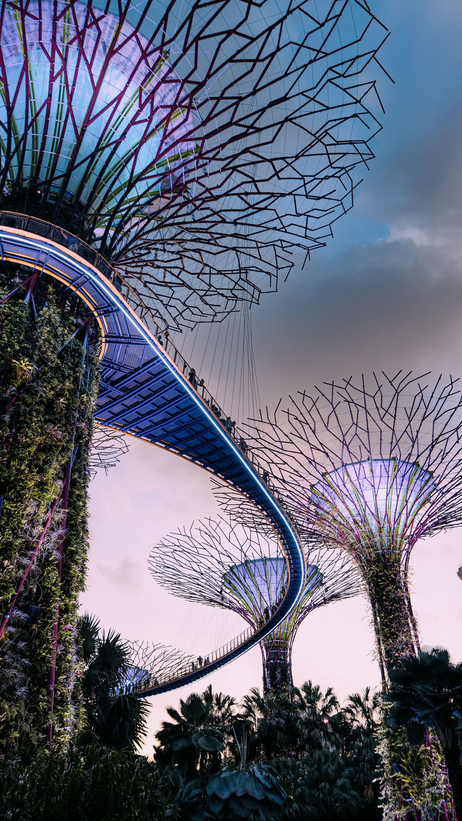 Supertrees at Dusk