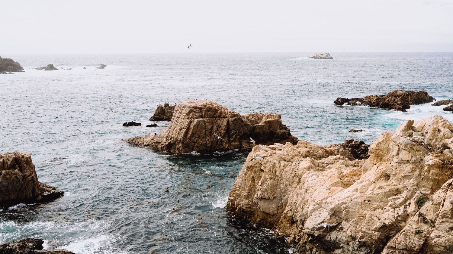 Coastal Cliffs