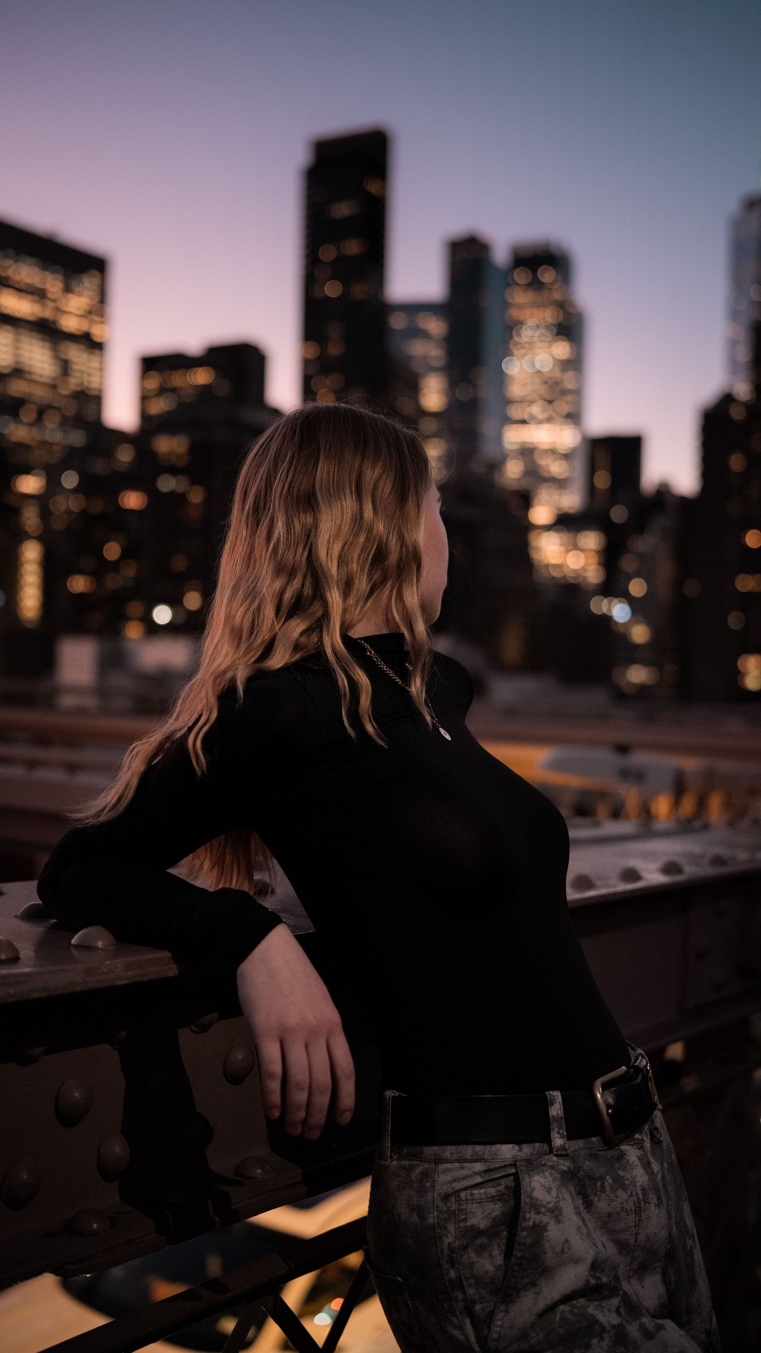 Manhattan Twilight Silhouette
