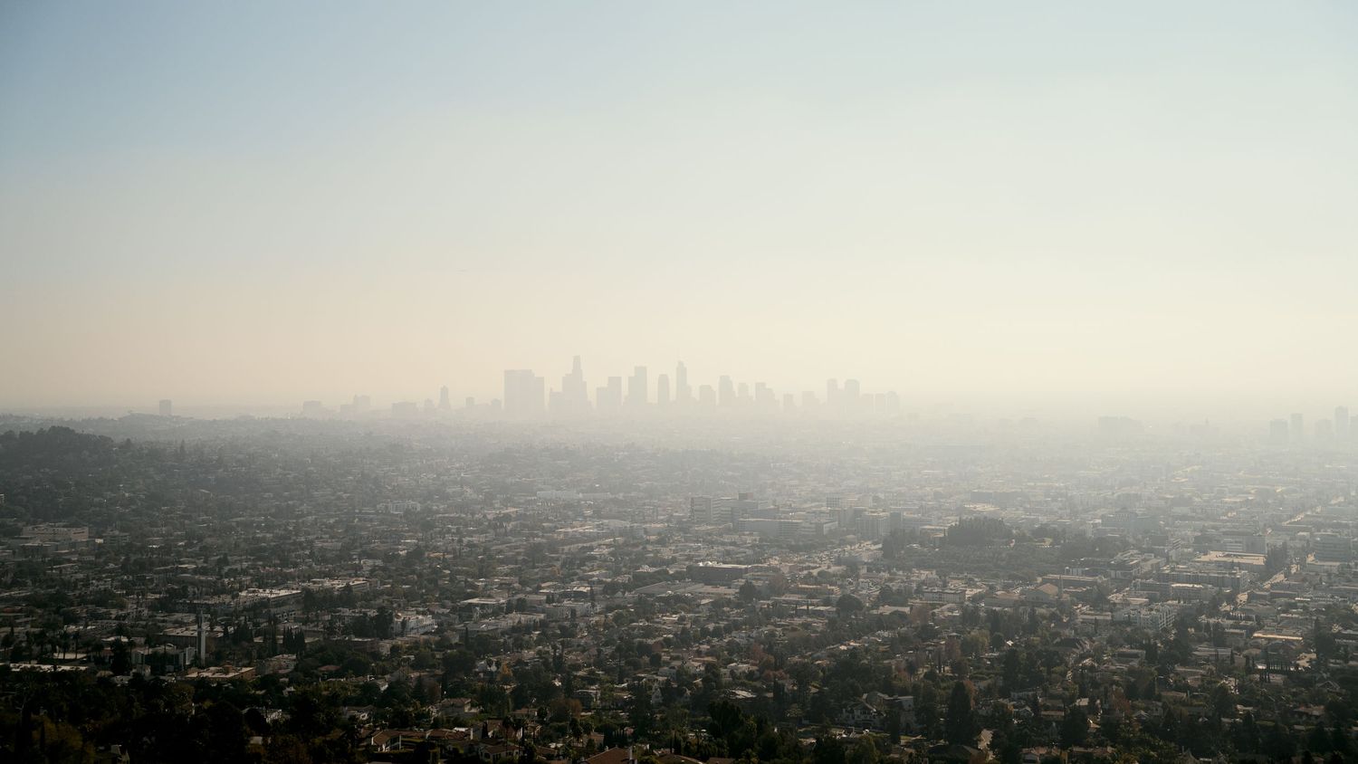 LA Skyline