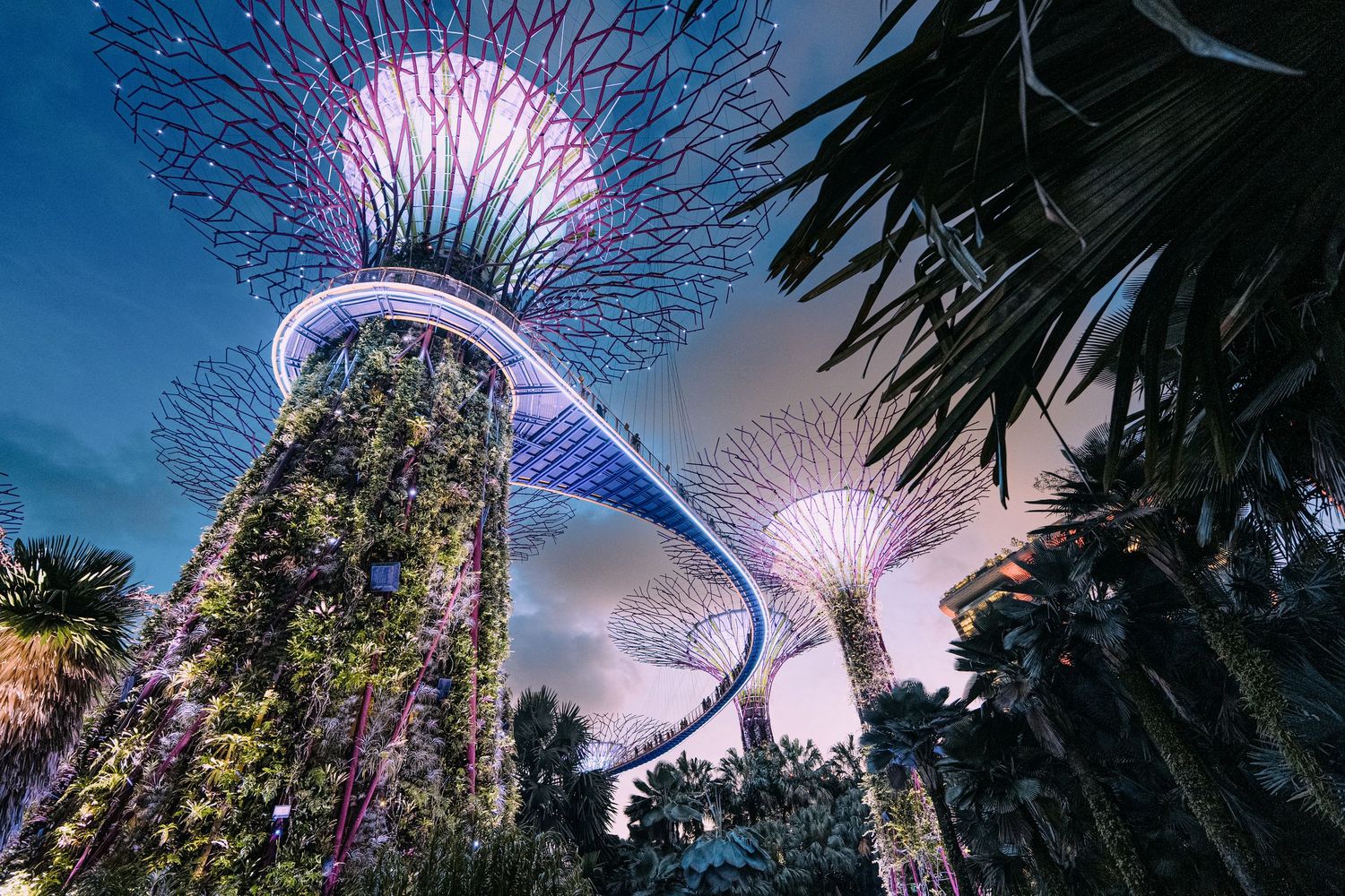 Supertrees at Night