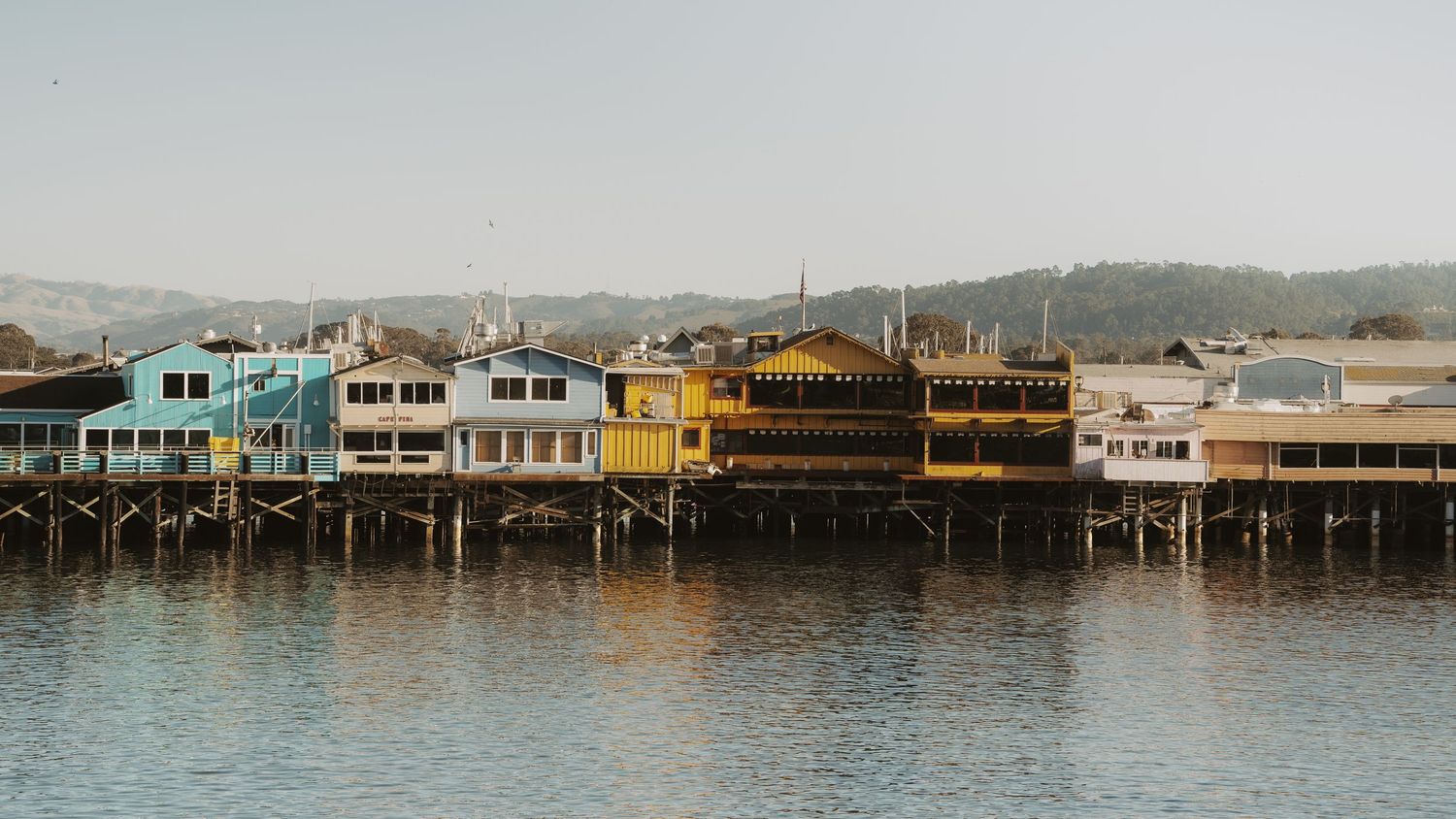 Waterfront Houses