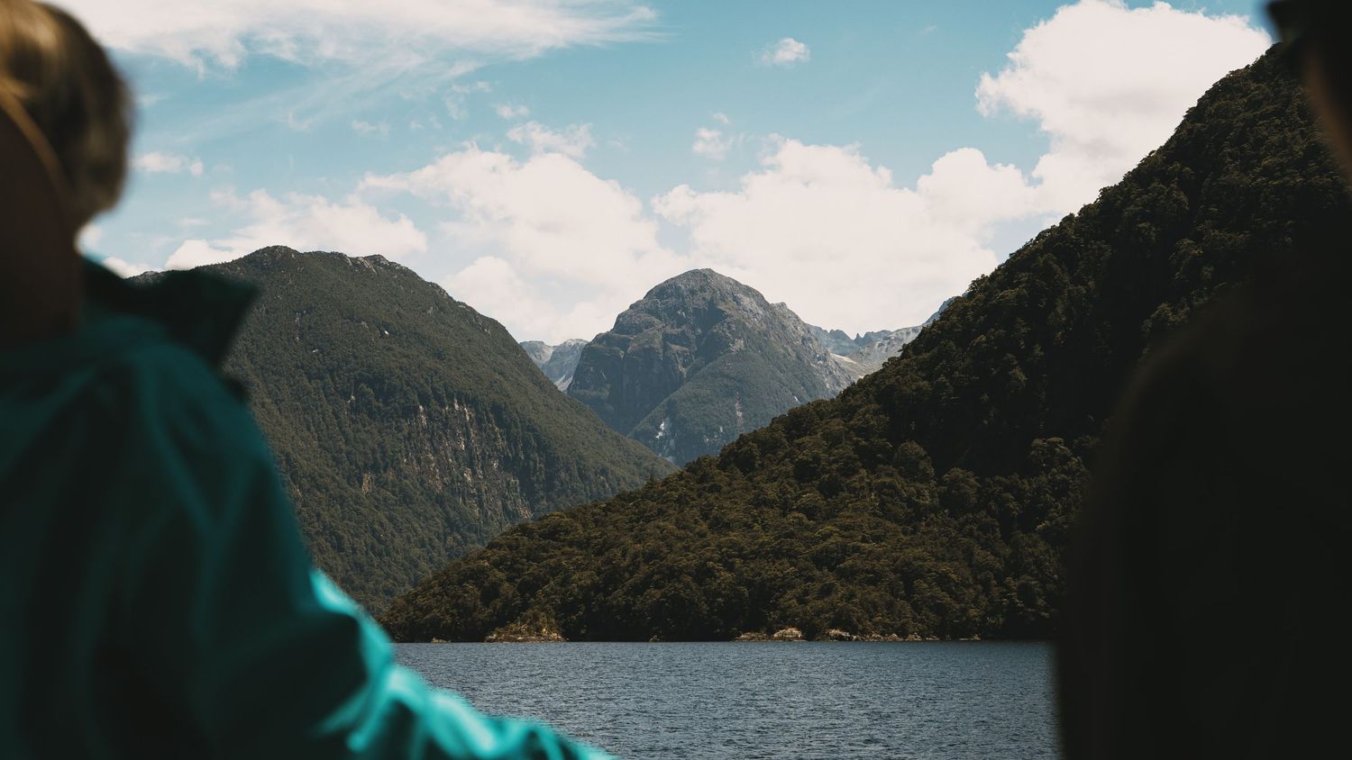 Lake Through Forest