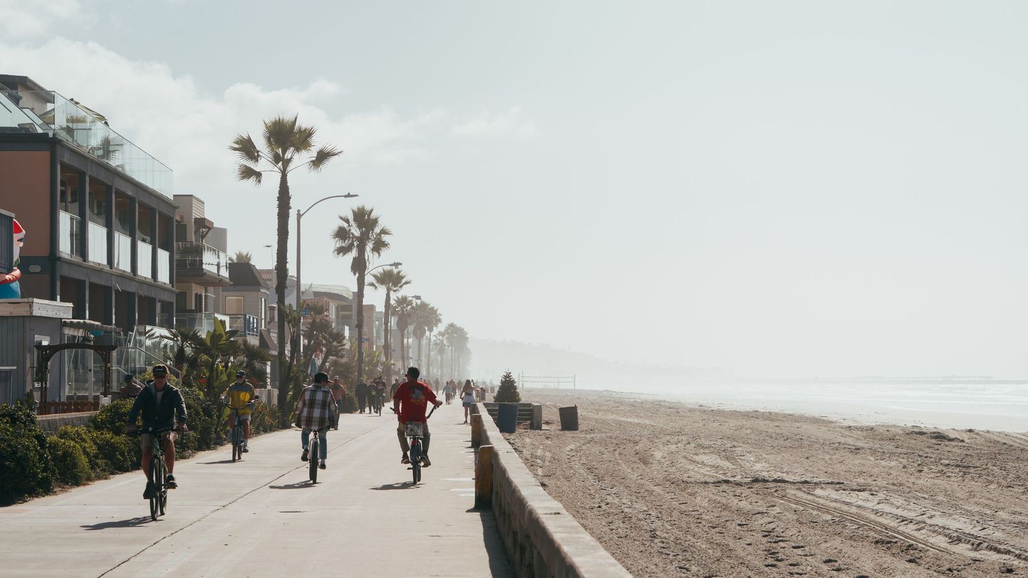 Foggy Boardwalk