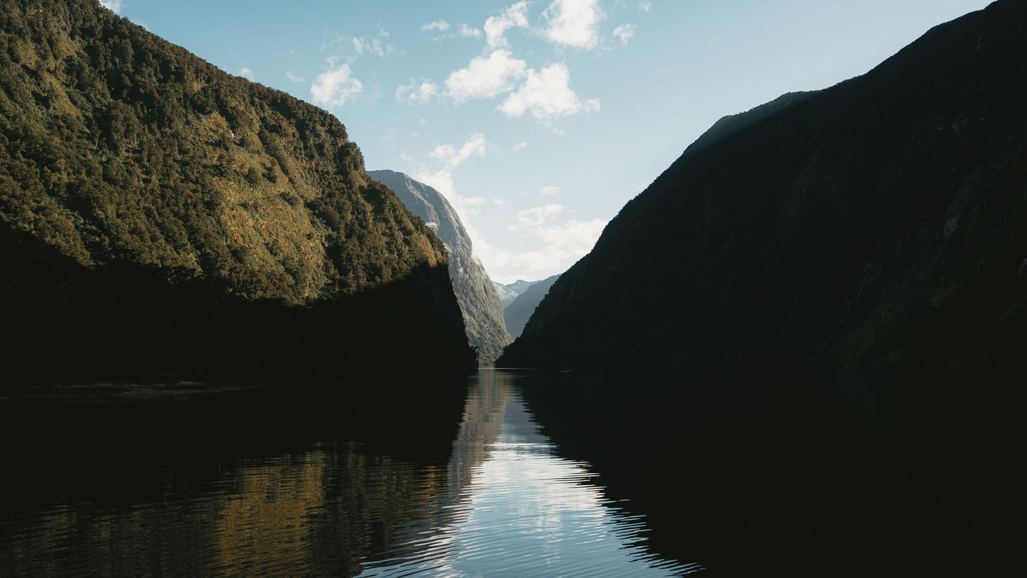 Fjord Landscape