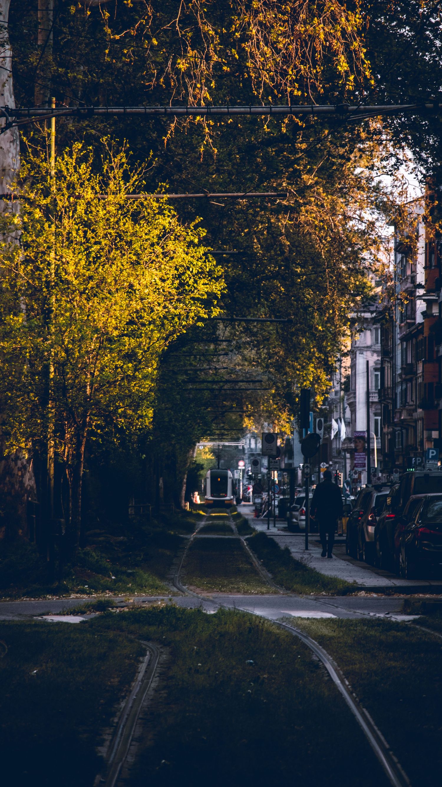 Autumn Train Tracks