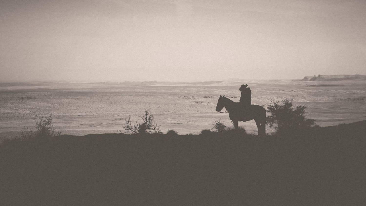 Horseback Rider