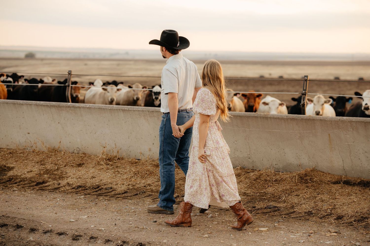 Couple in western attire holding hands walking past cattle feed lot at golden hour on a farm.