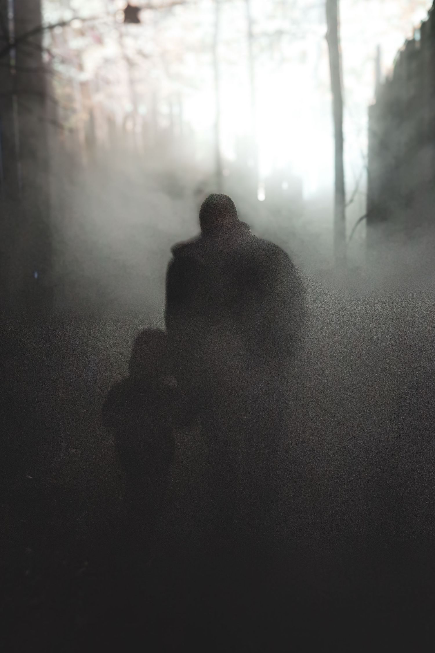 Mysterious silhouette of two people shrouded in dense fog in a dark forest.