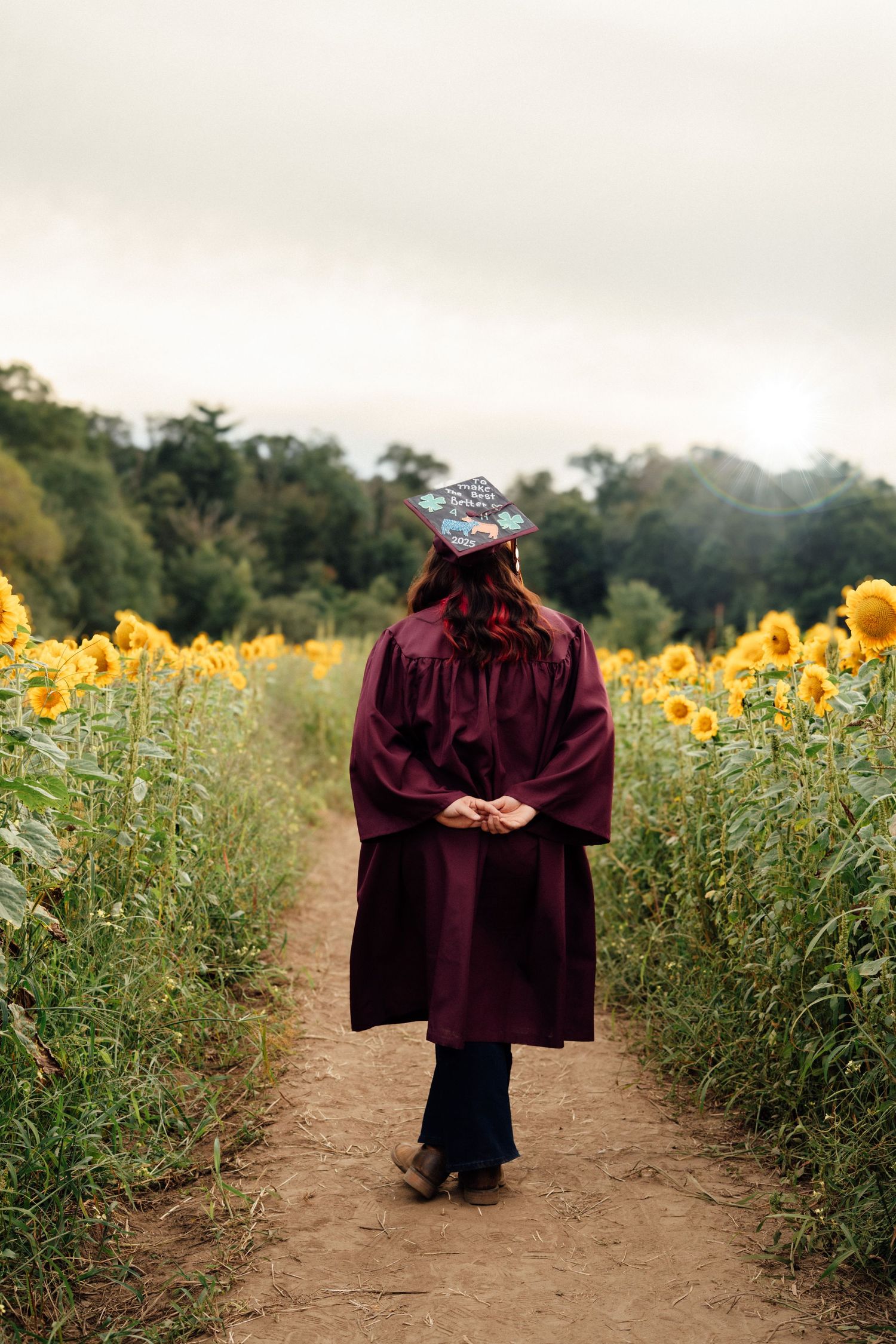 Graduate in maroon cap and gown walks path between sunflowers on cloudy day.