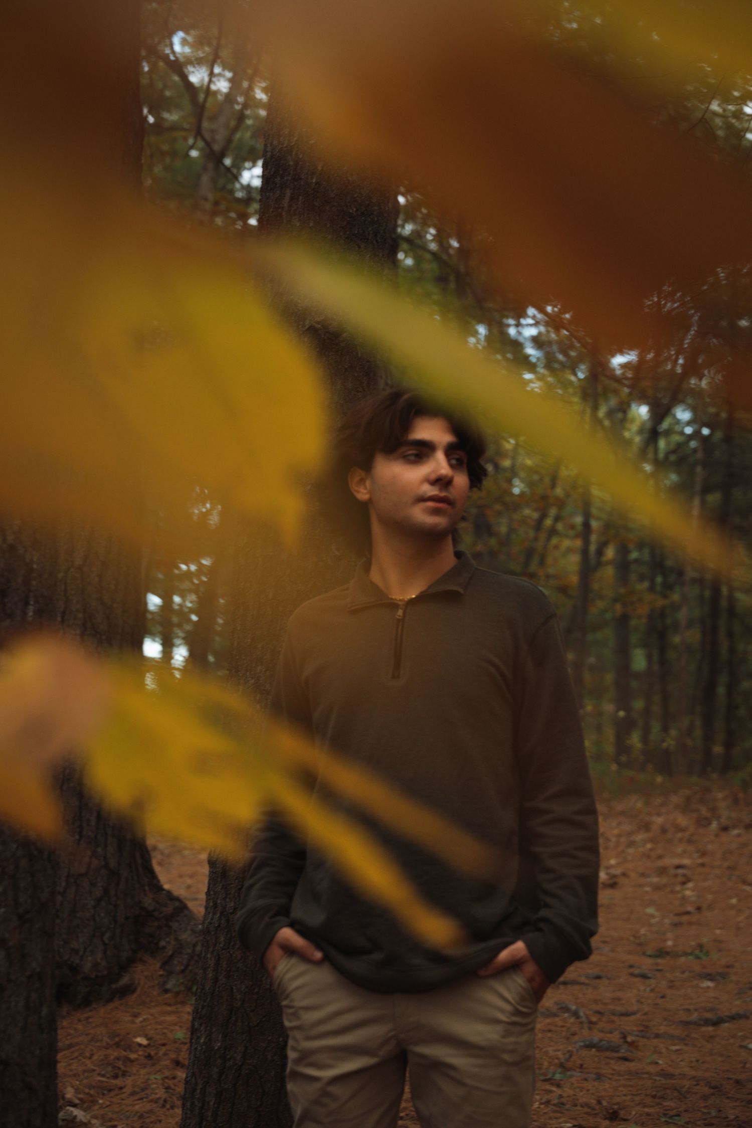 Young man in dark green sweater stands in autumn forest framed by yellow leaves.