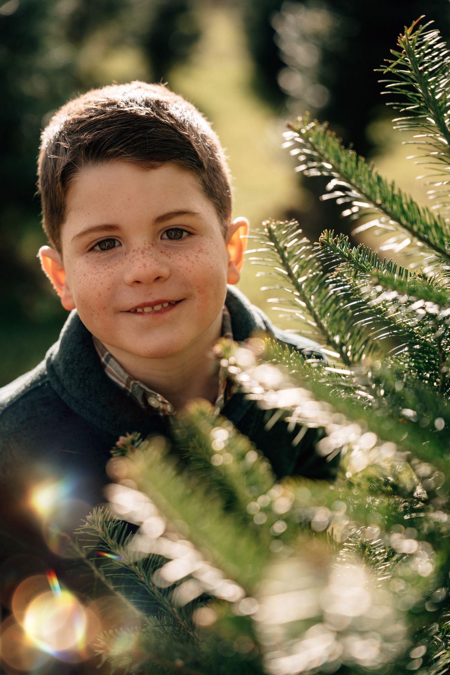 A freckled young boy smiles warmly while peeking through the branches of a Christmas tree.