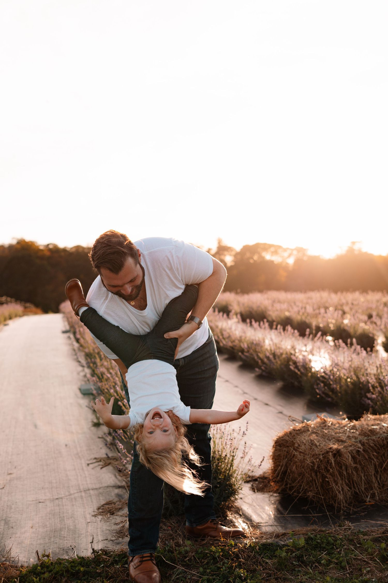 A playful father swings his laughing blonde daughter upside down in a golden sunlit lavender field.