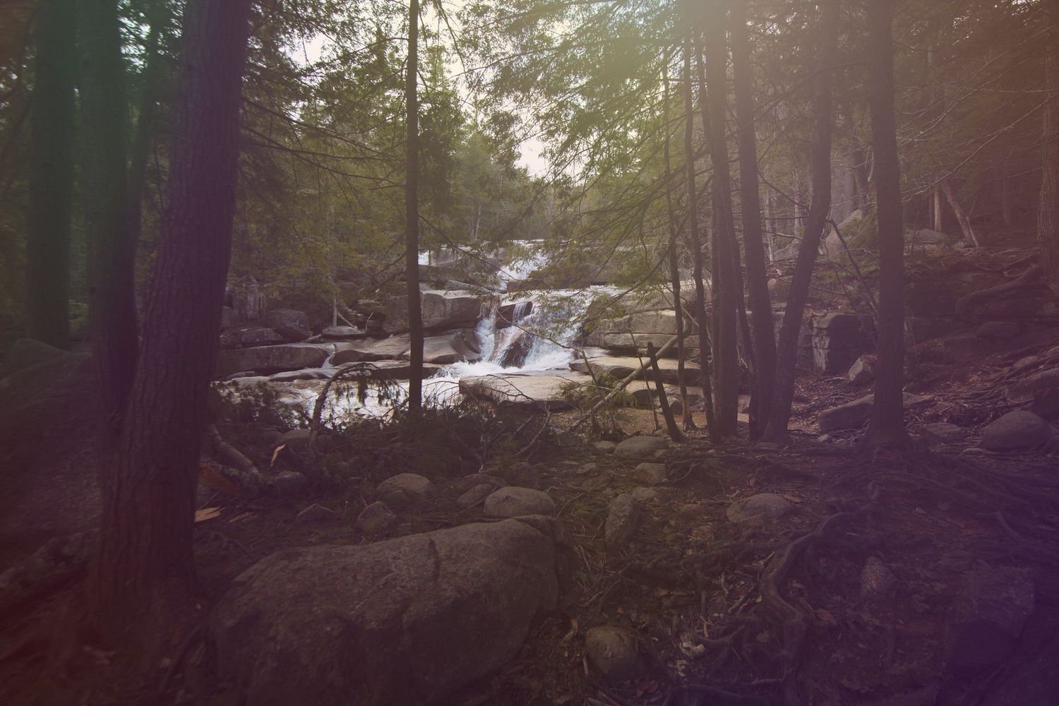 Sunlit forest waterfall cascading over mossy rocks surrounded by tall trees with warm golden light.
