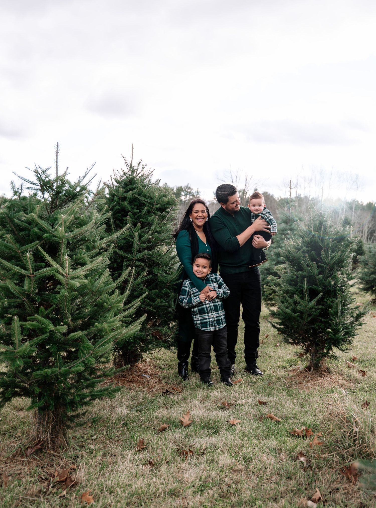 Family of four posing among green Christmas trees at a tree farm, wearing coordinating green and plaid holiday outfits.
