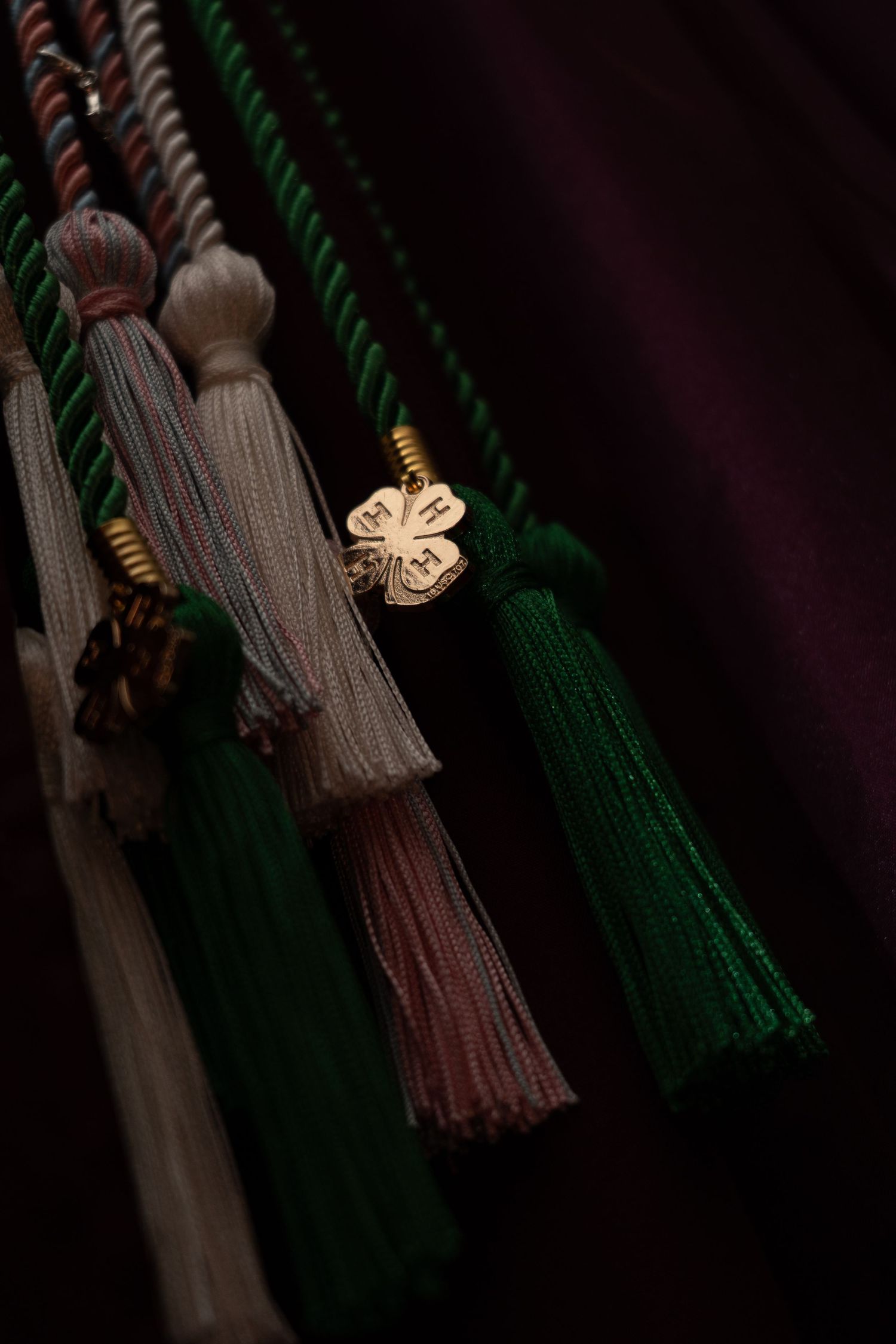 Close-up of colorful graduation tassels with a gold 4-H clover charm against a dark burgundy background.