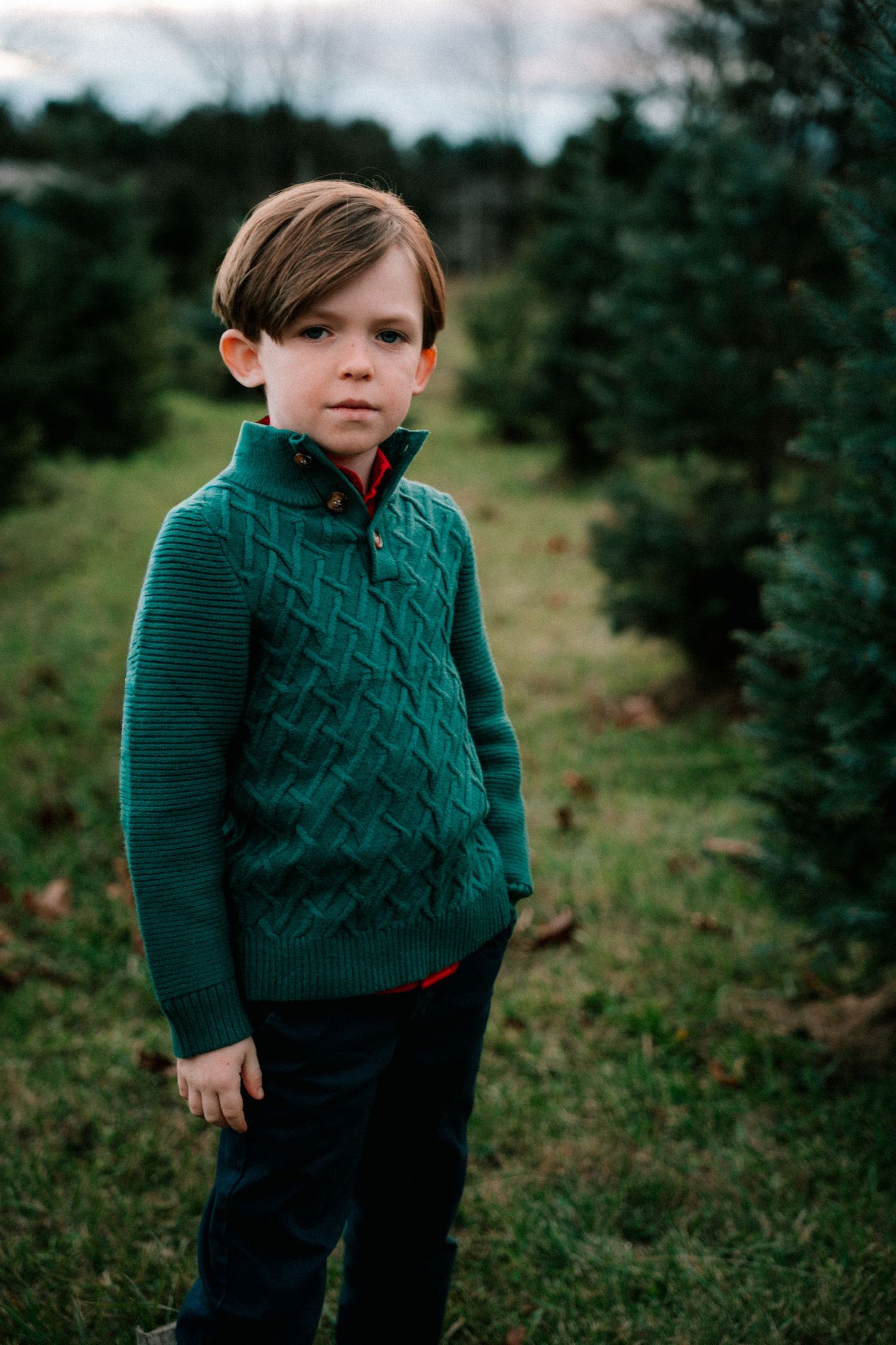 Young boy in green cable-knit sweater standing among Christmas trees on a tree farm.