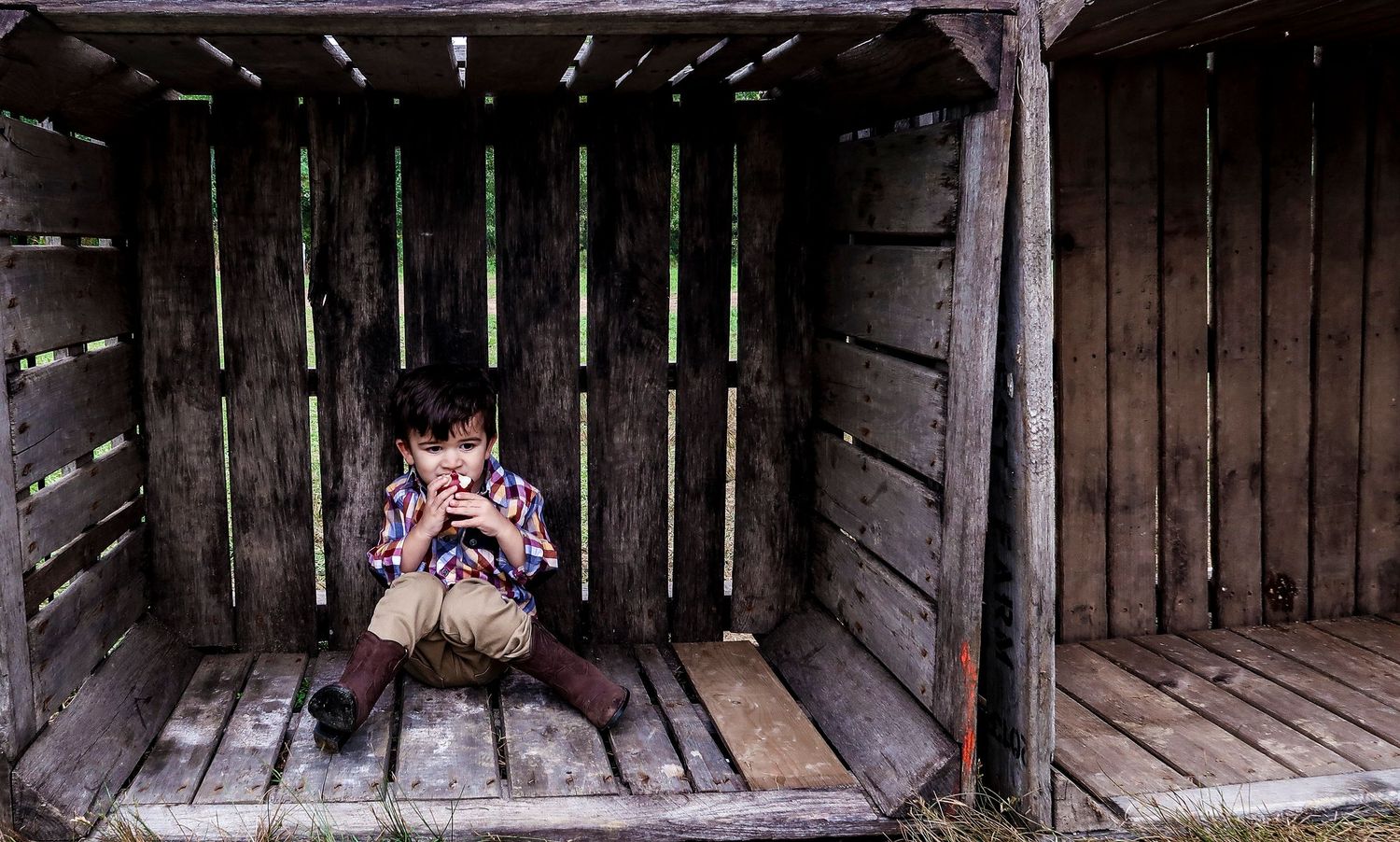 Young boy sitting alone inside a rustic wooden crate outdoors, wearing a plaid shirt.
