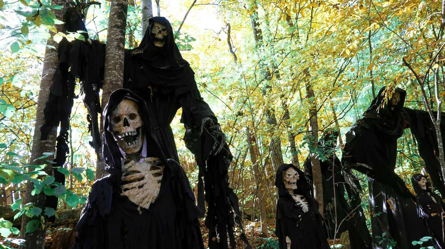 Creepy skeleton grim reaper Halloween decorations displayed outdoors among green autumn trees.