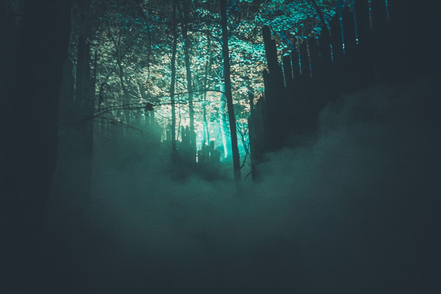 Dark misty forest with glowing teal light filtering through tall trees and thick fog.
