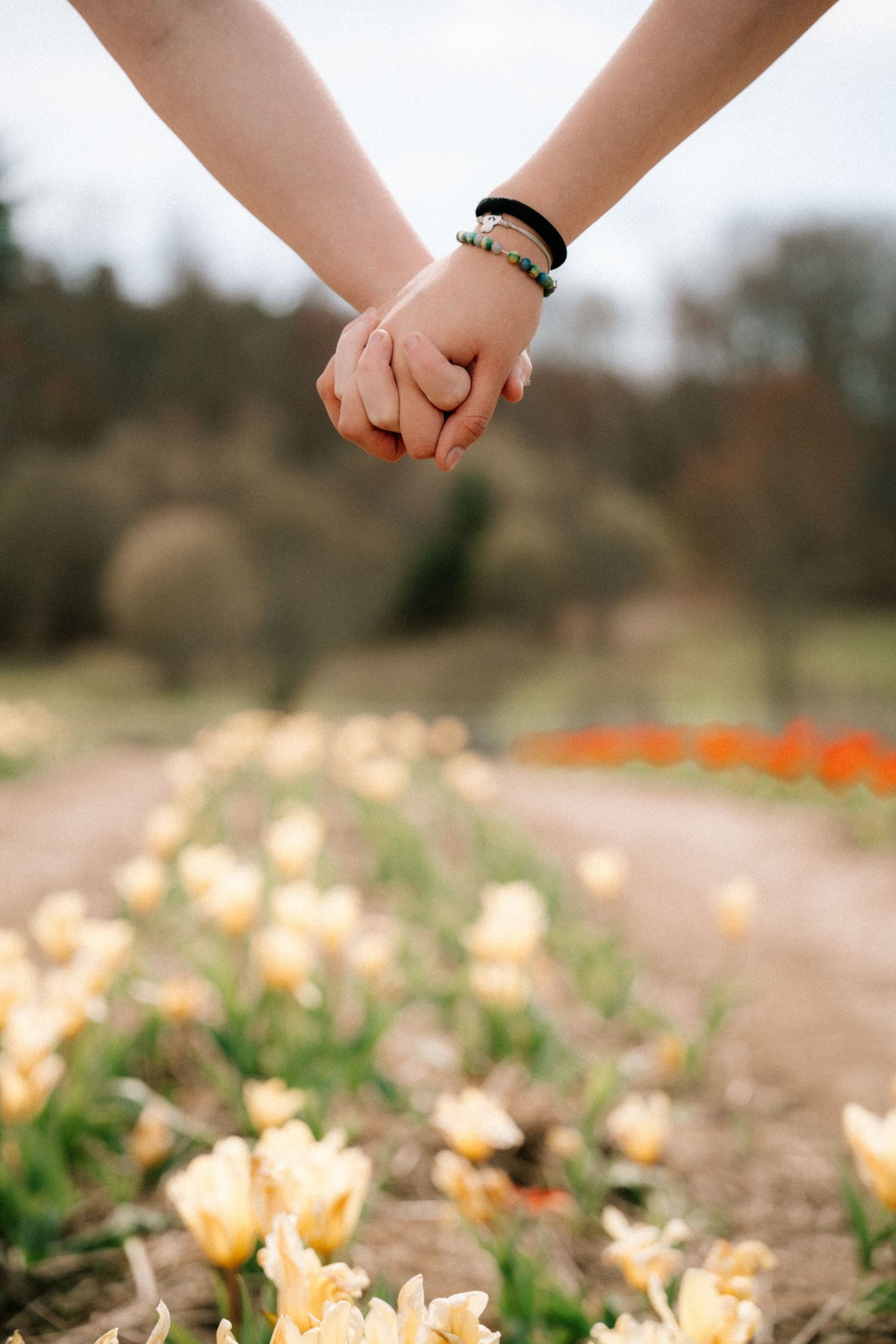 Close-up of two people holding hands with bracelets over a path lined with yellow tulips.