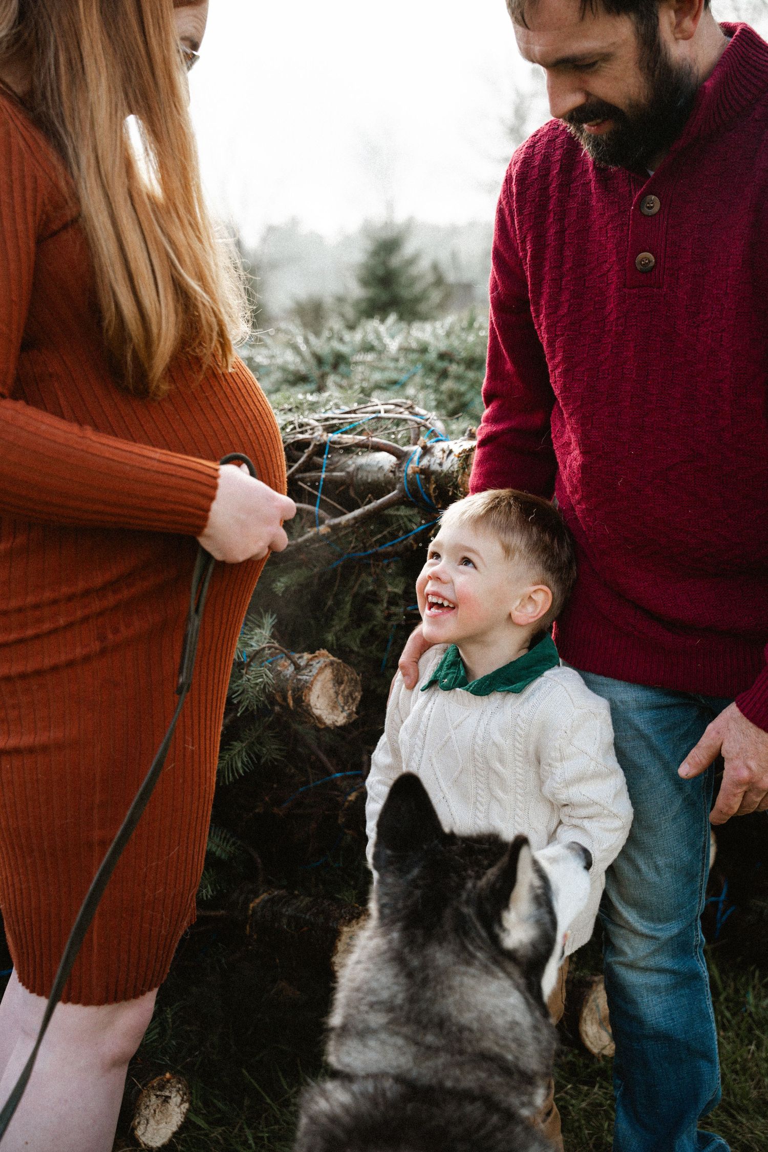 Family with young boy and husky dog at Christmas tree farm.